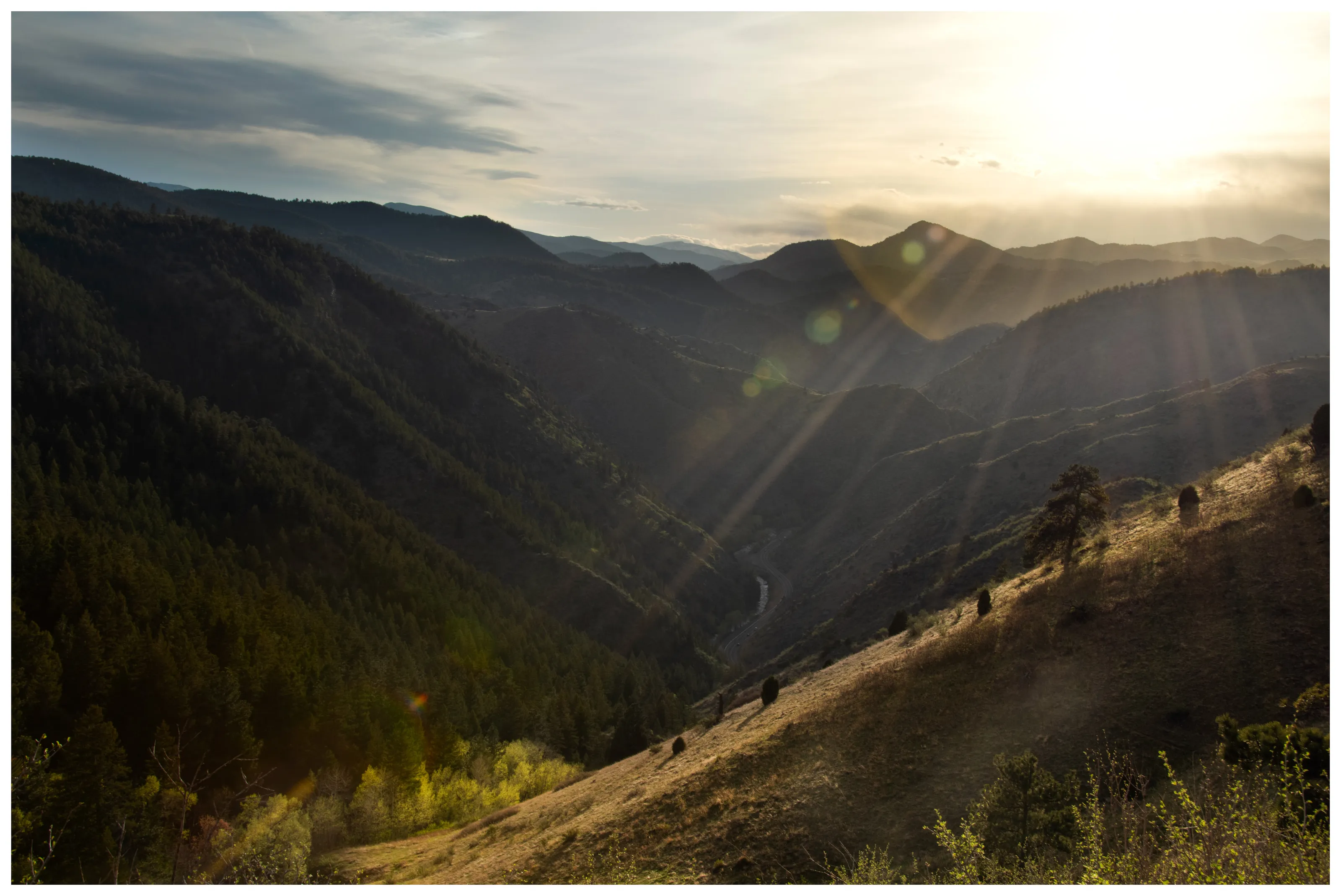 Spring Sunset Golden