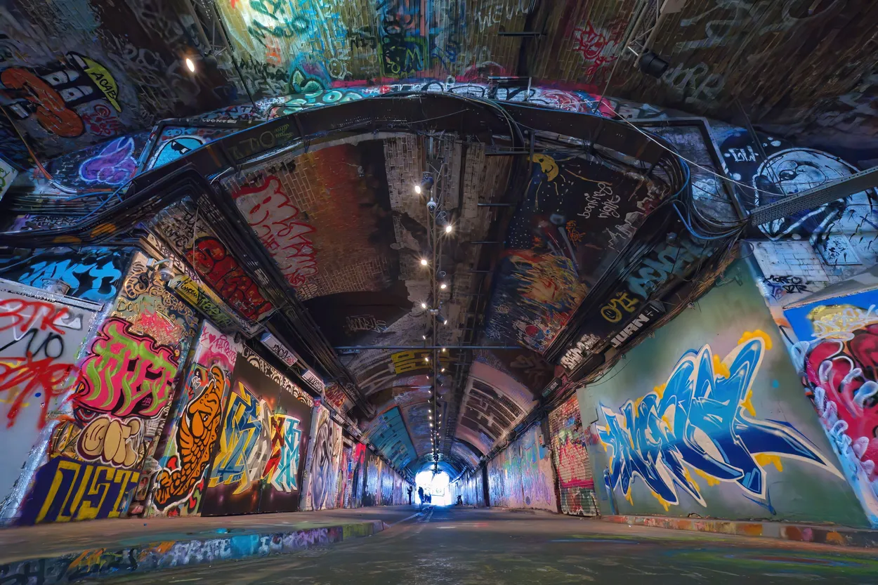Entry 25049086