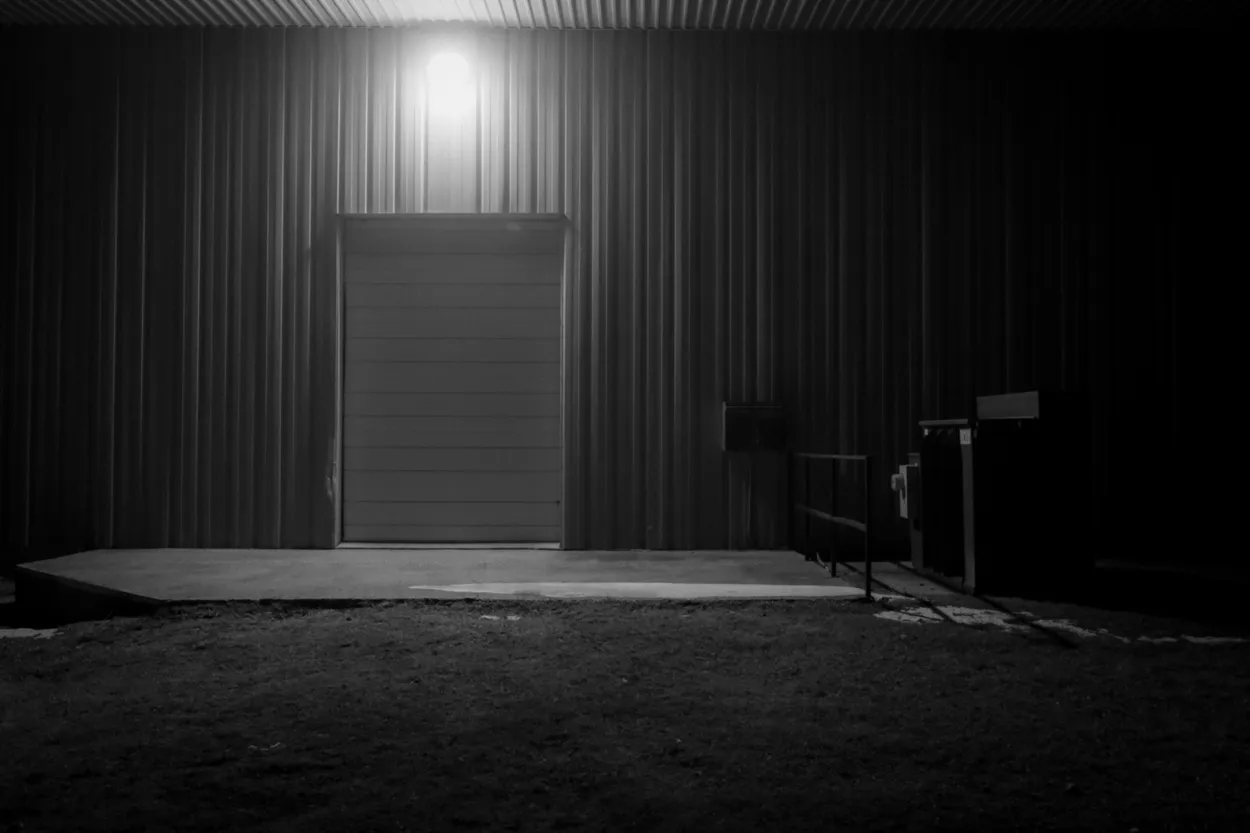 Entry 19508233