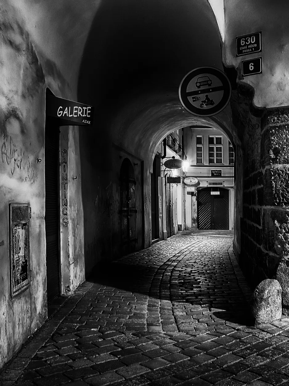 Entry 19508383