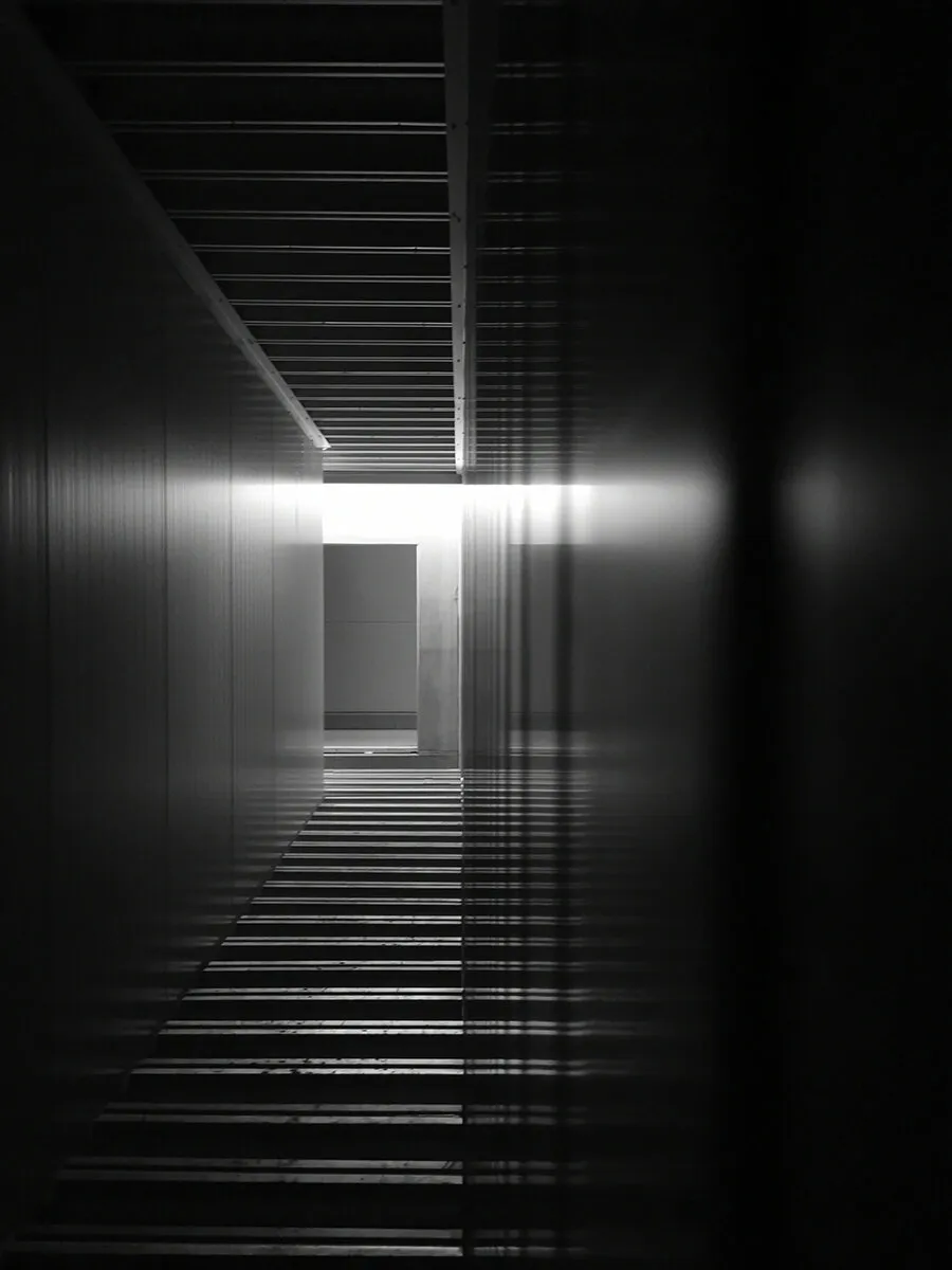 Entry 19510093