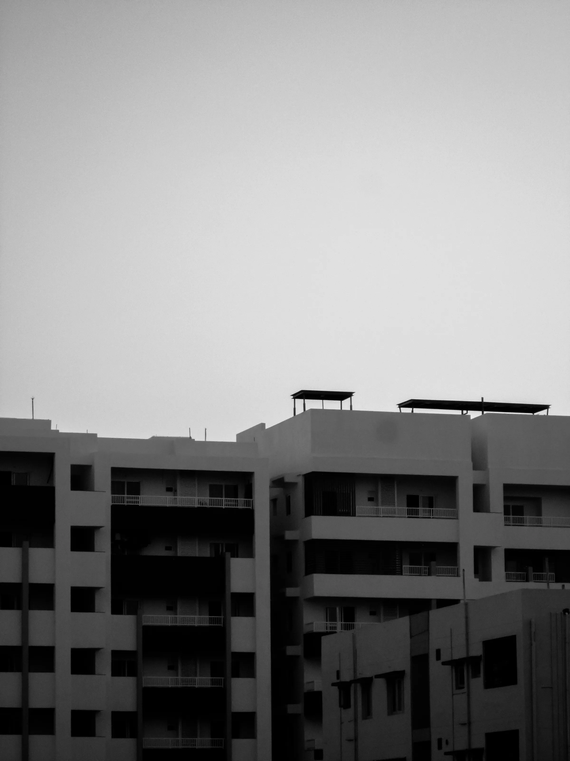 Urban Jungles