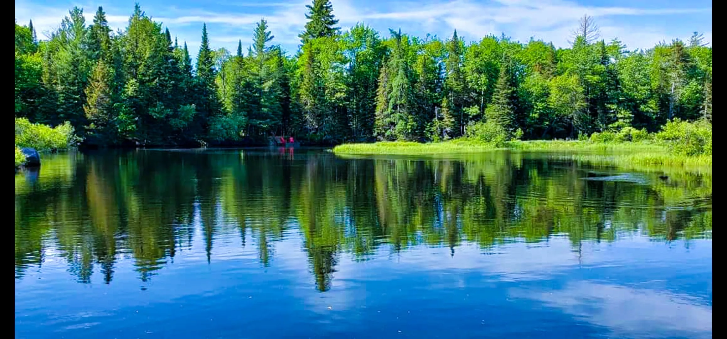 Moose River in Full Coverage