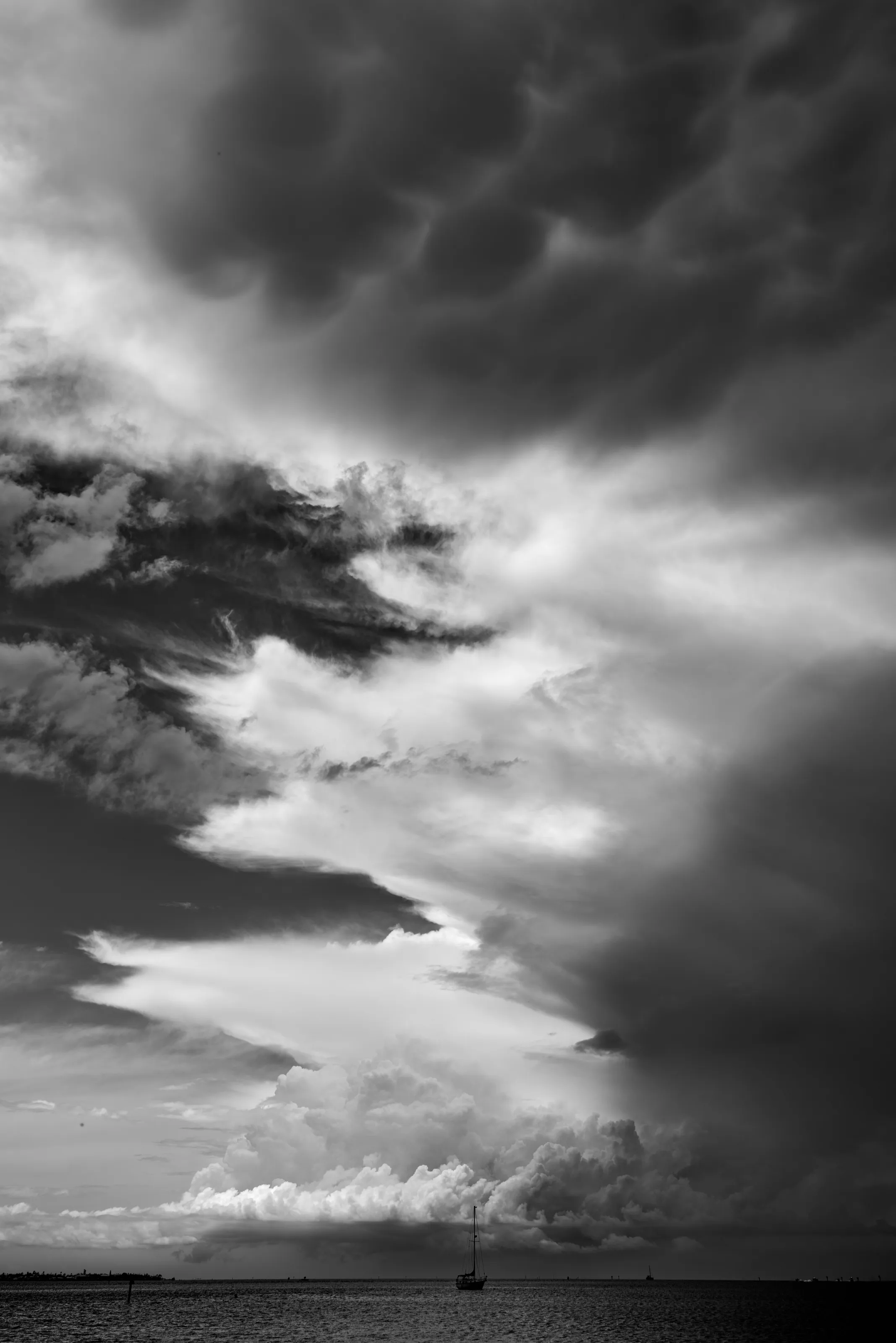 Bradenton Rain