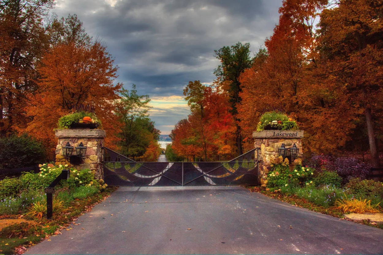 Entry 19519184