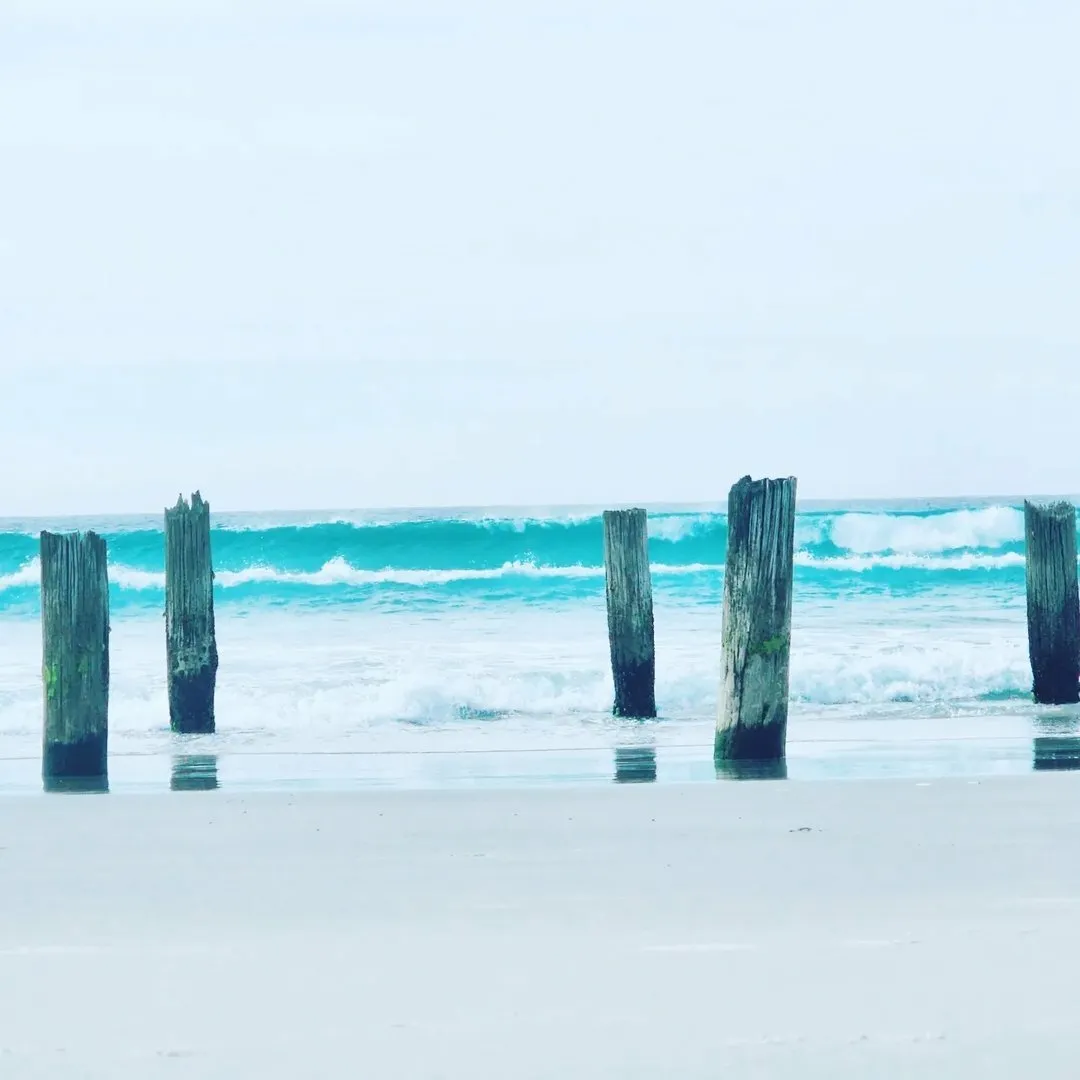 Banner image