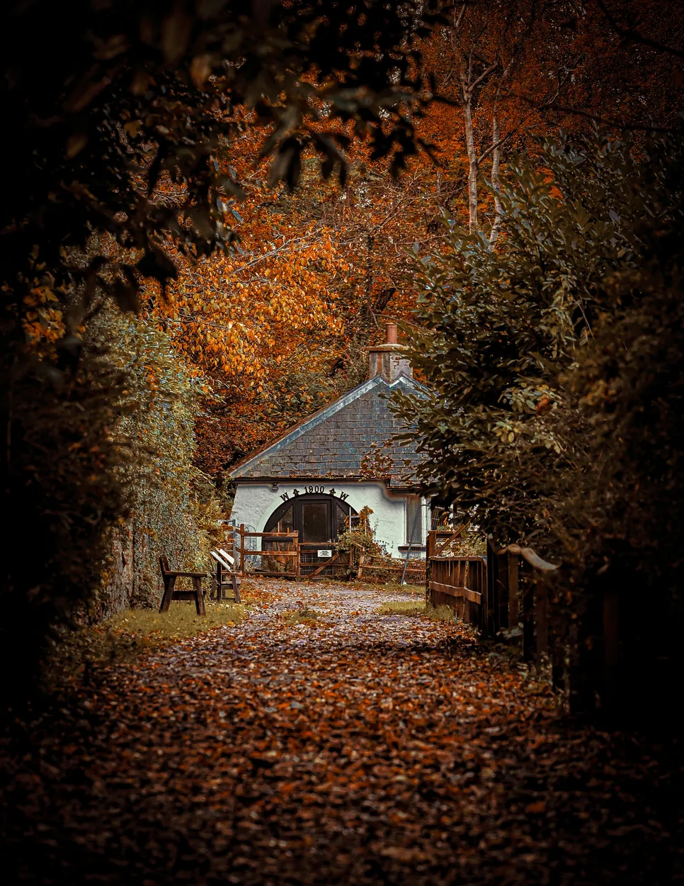 Entry 19525477