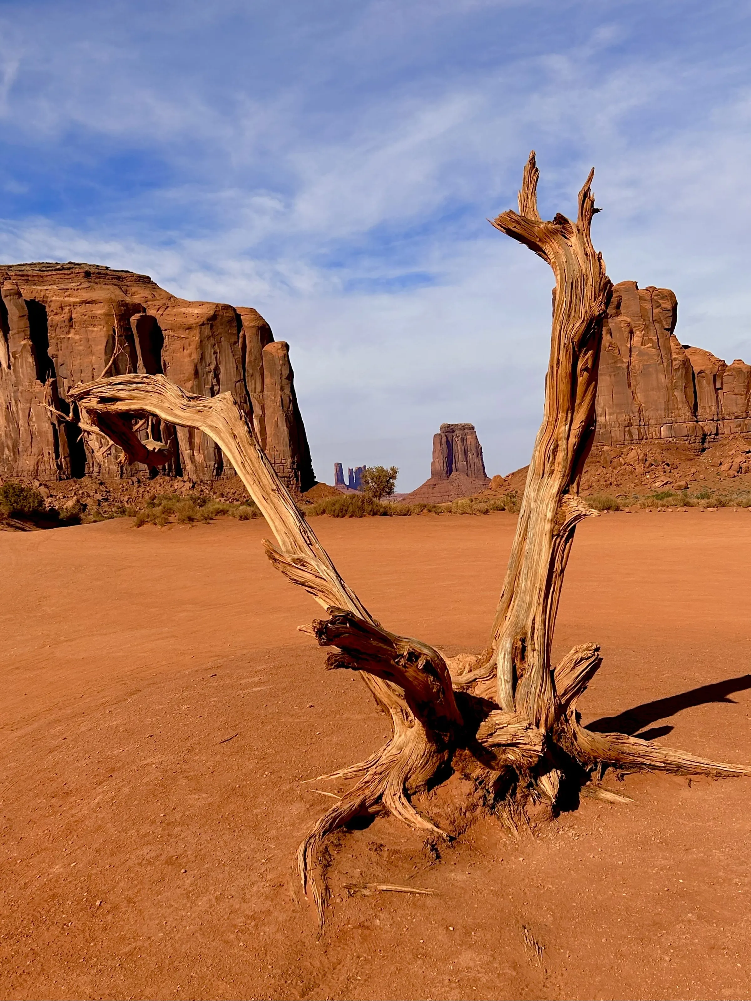 Red rock, red wood.