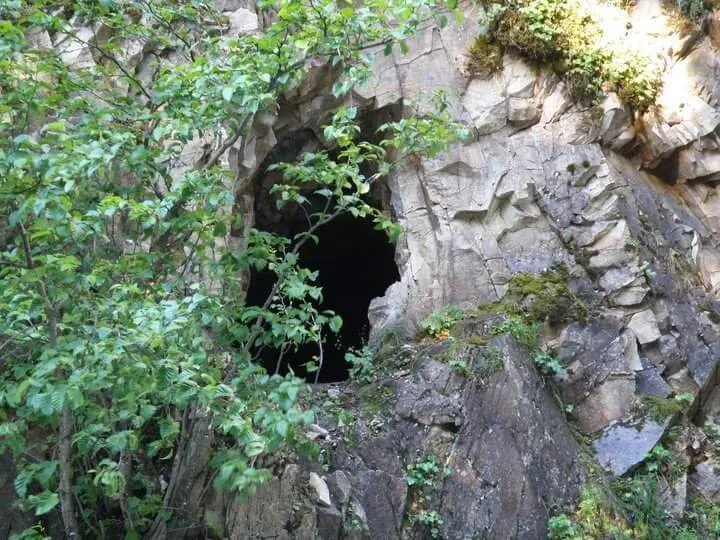 Entry 1008796