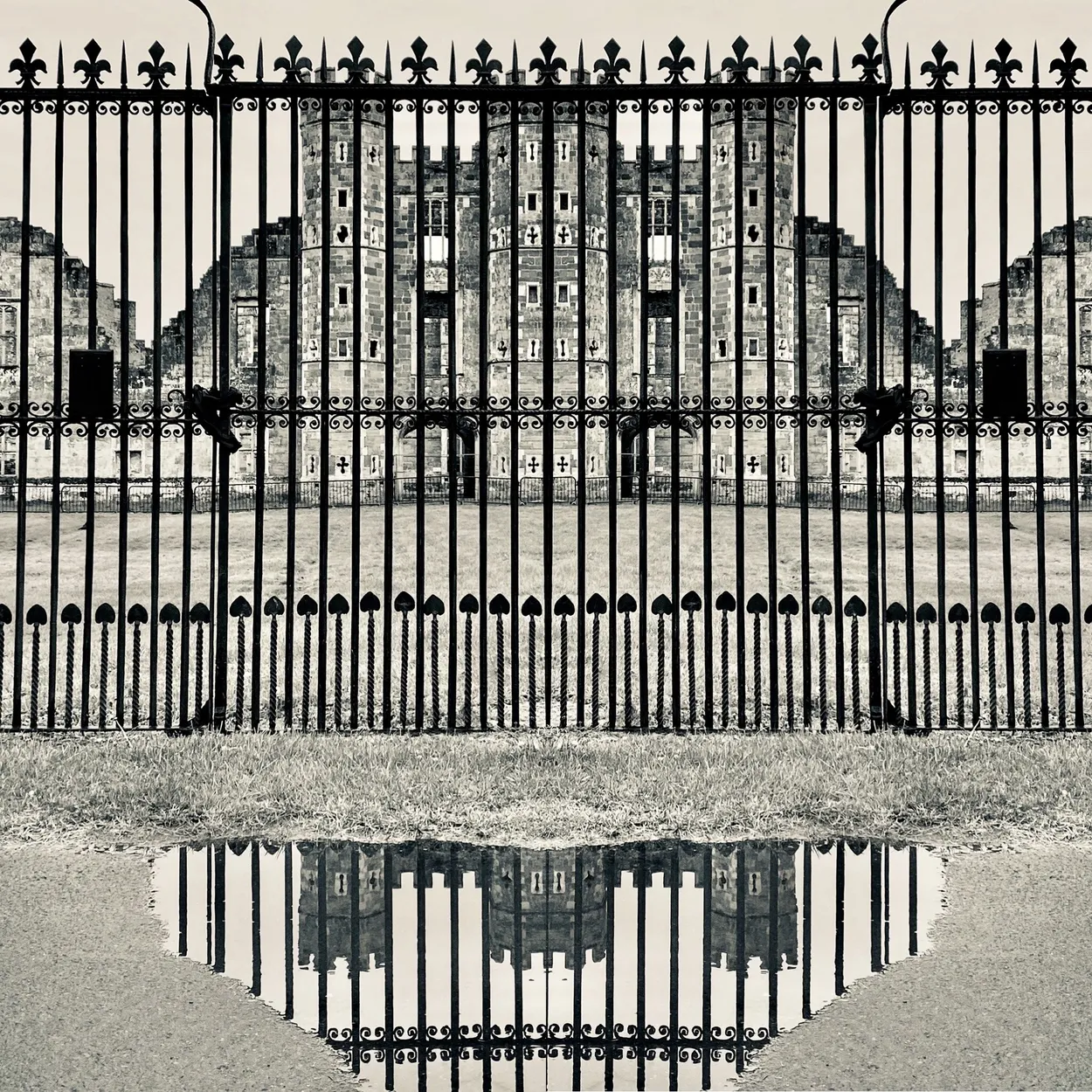 Entry 19795911