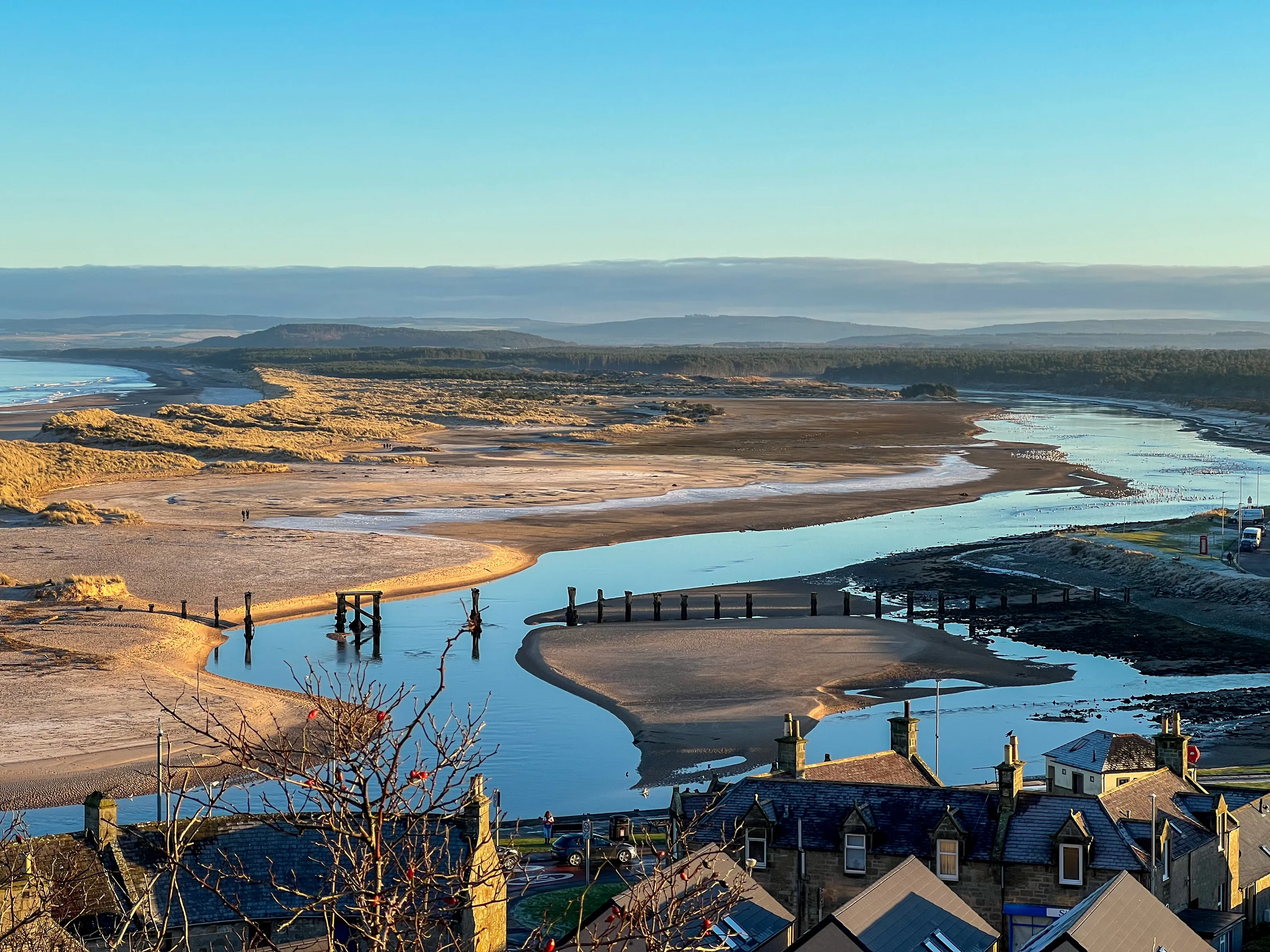 Winding estuary