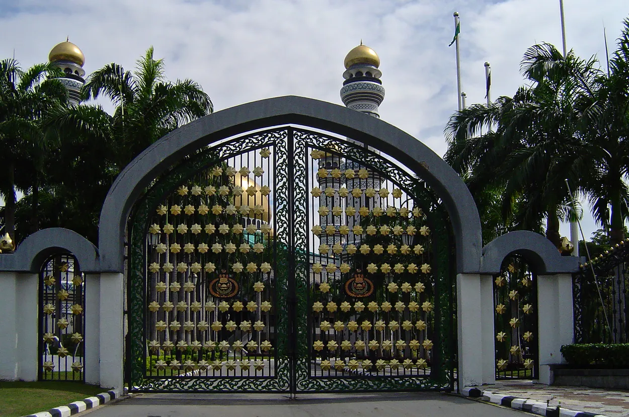 Entry 19546400
