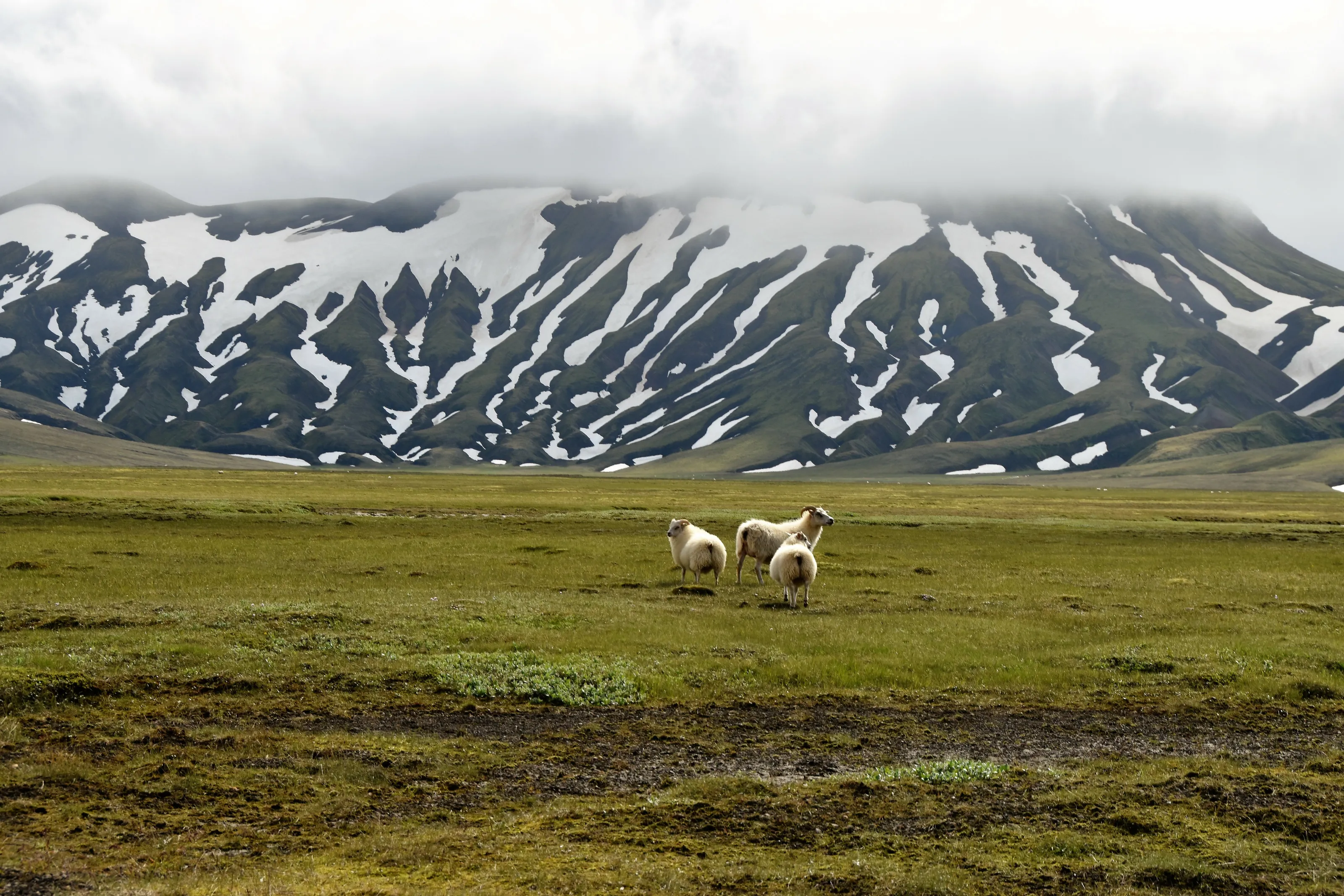 iceland