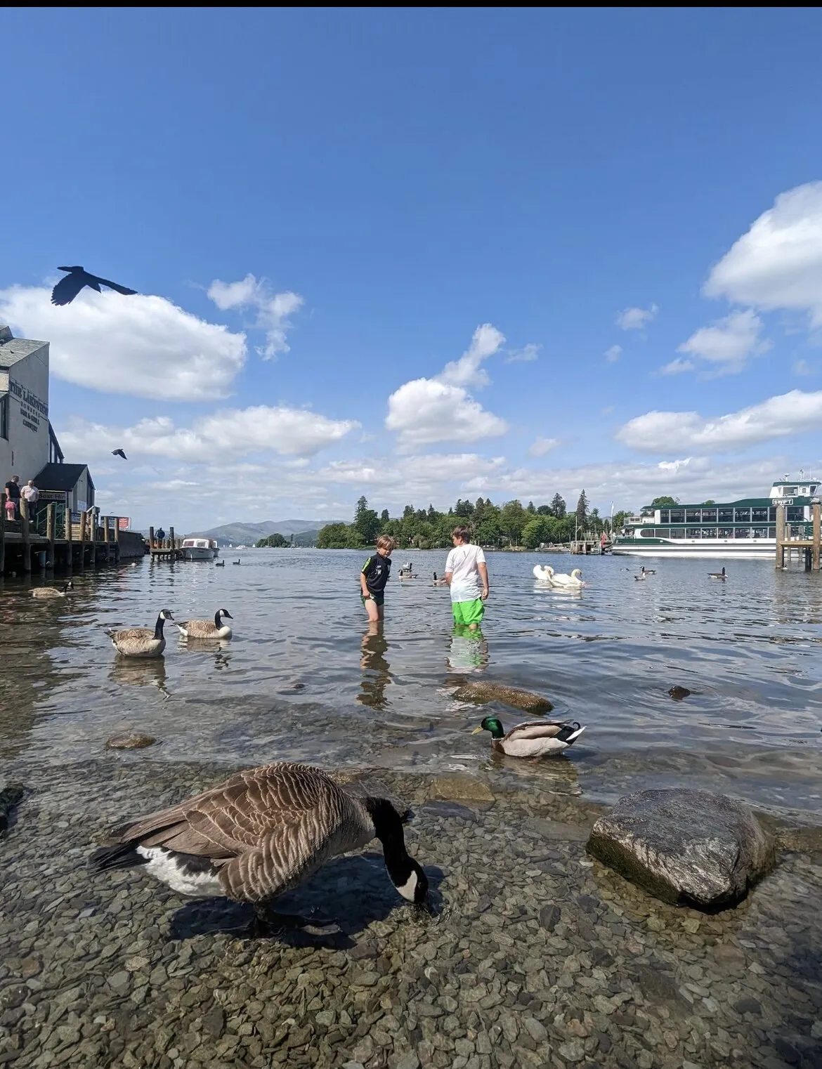Bowness