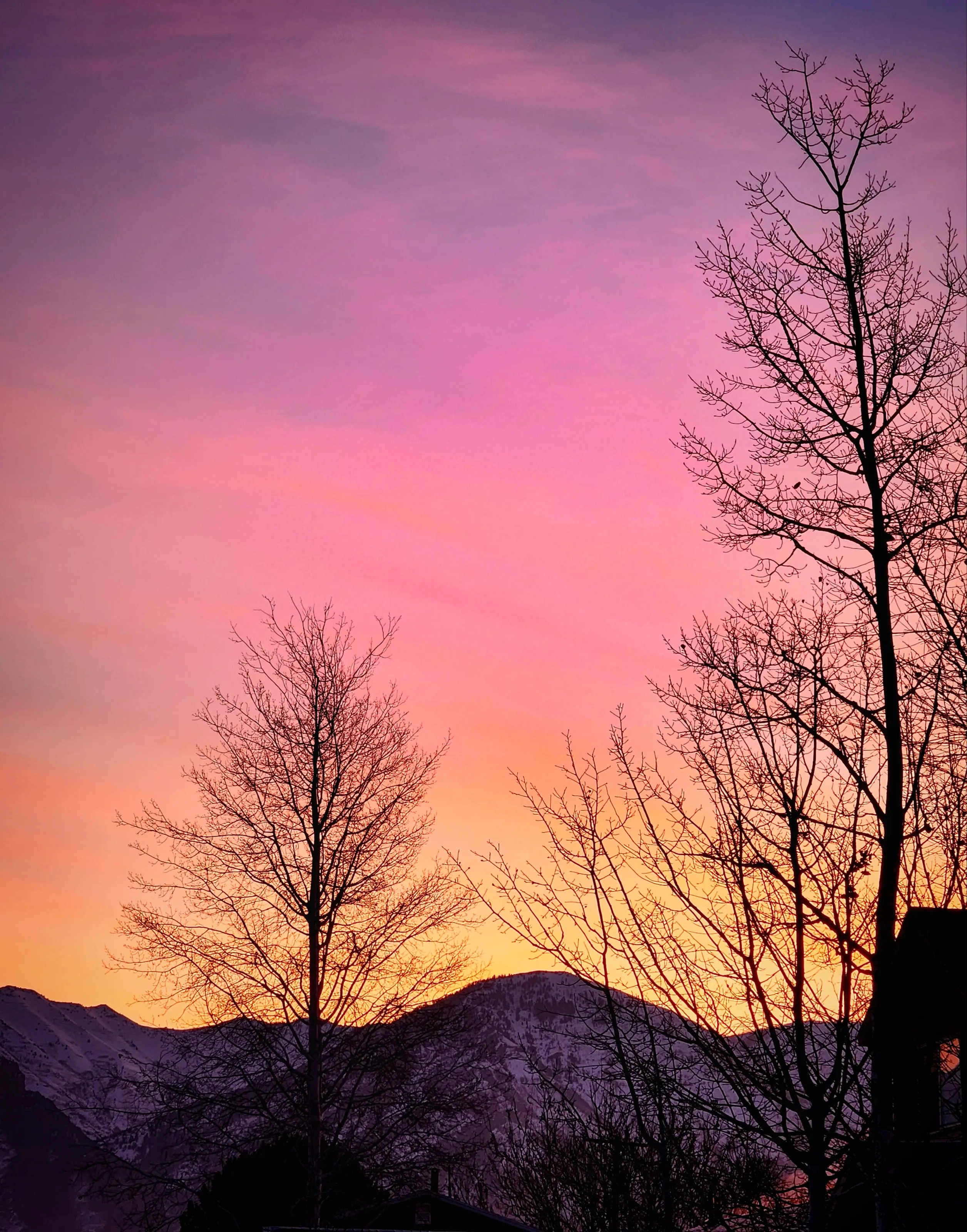 A moment of peace
