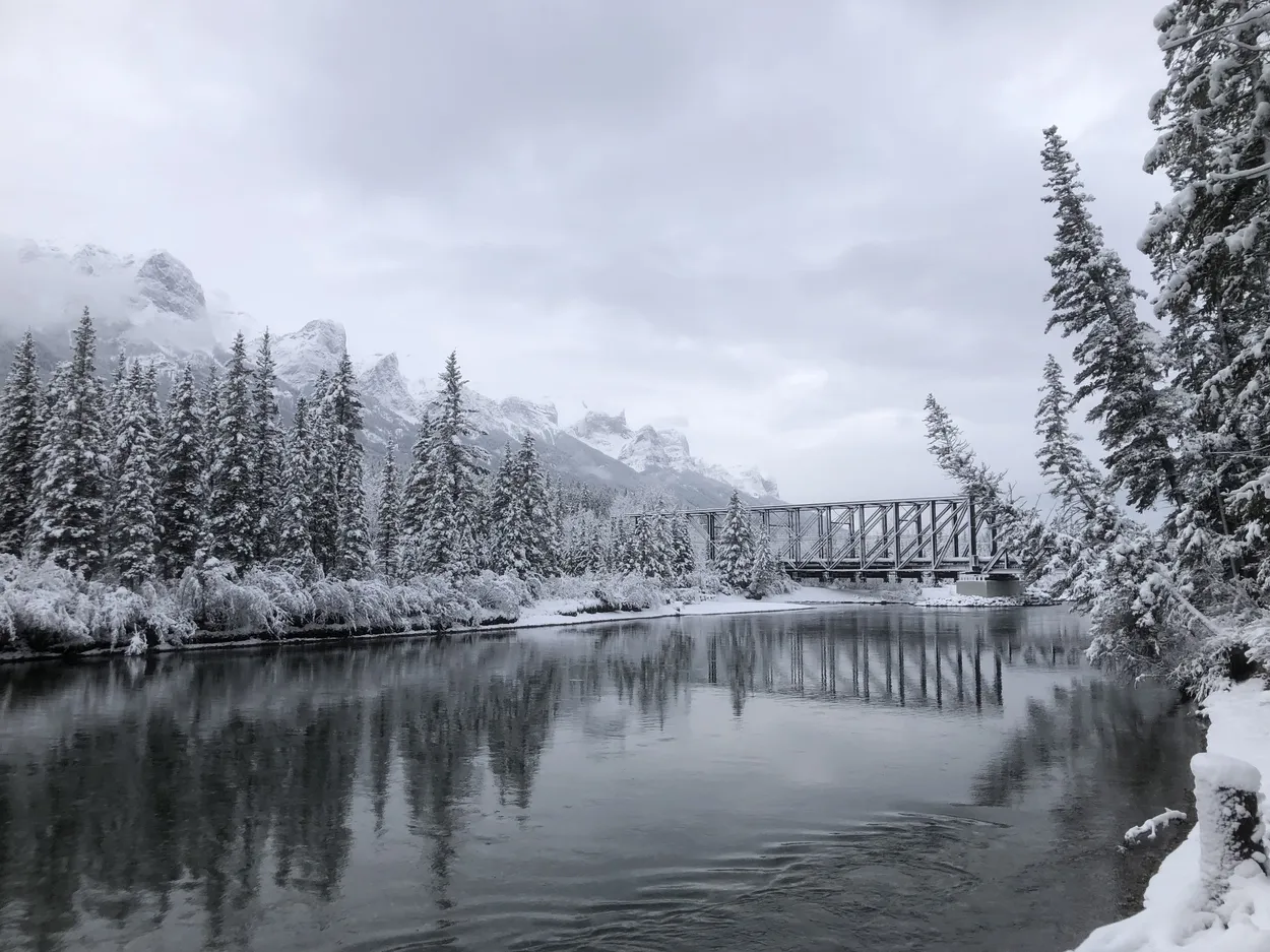 Entry 19558682