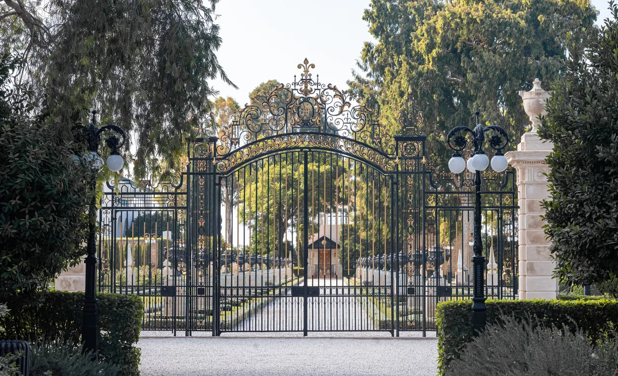 Entry 19658900