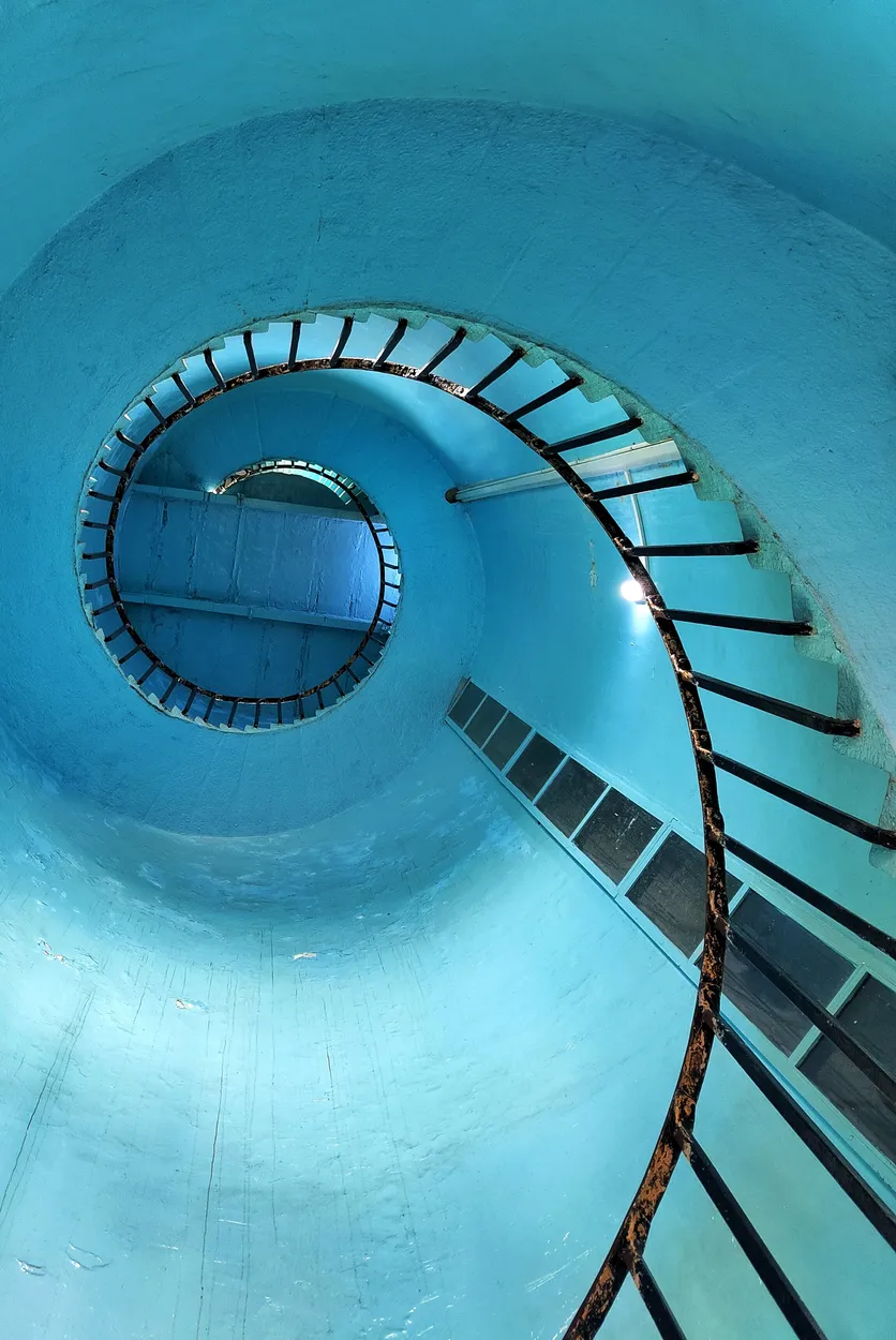 Entry 19571067