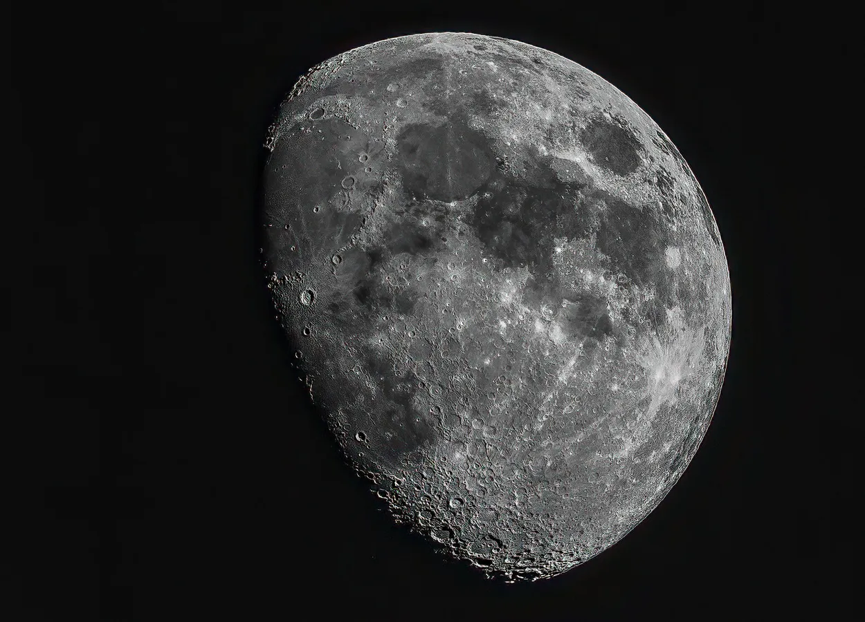 Entry 19575582