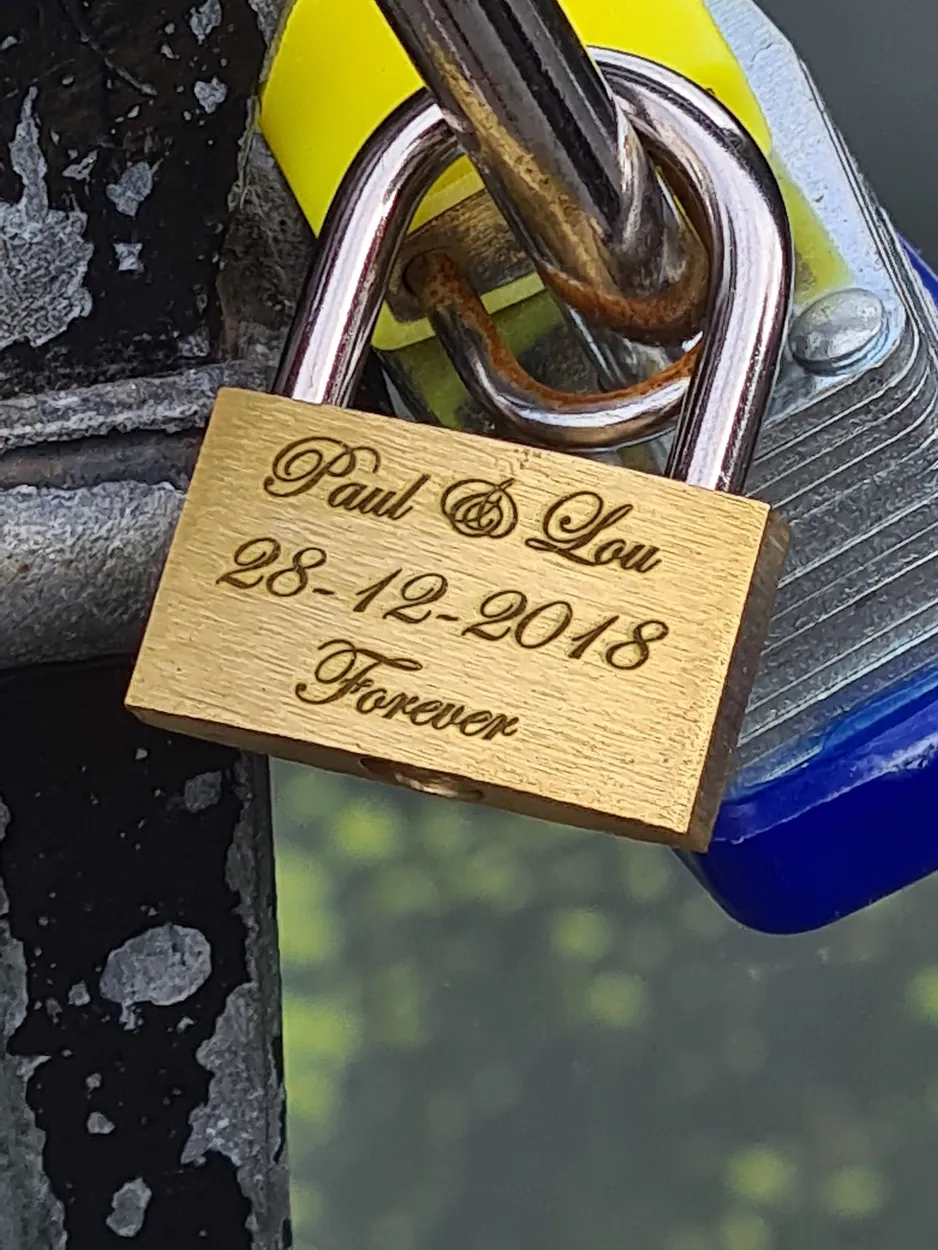 Entry 19576321