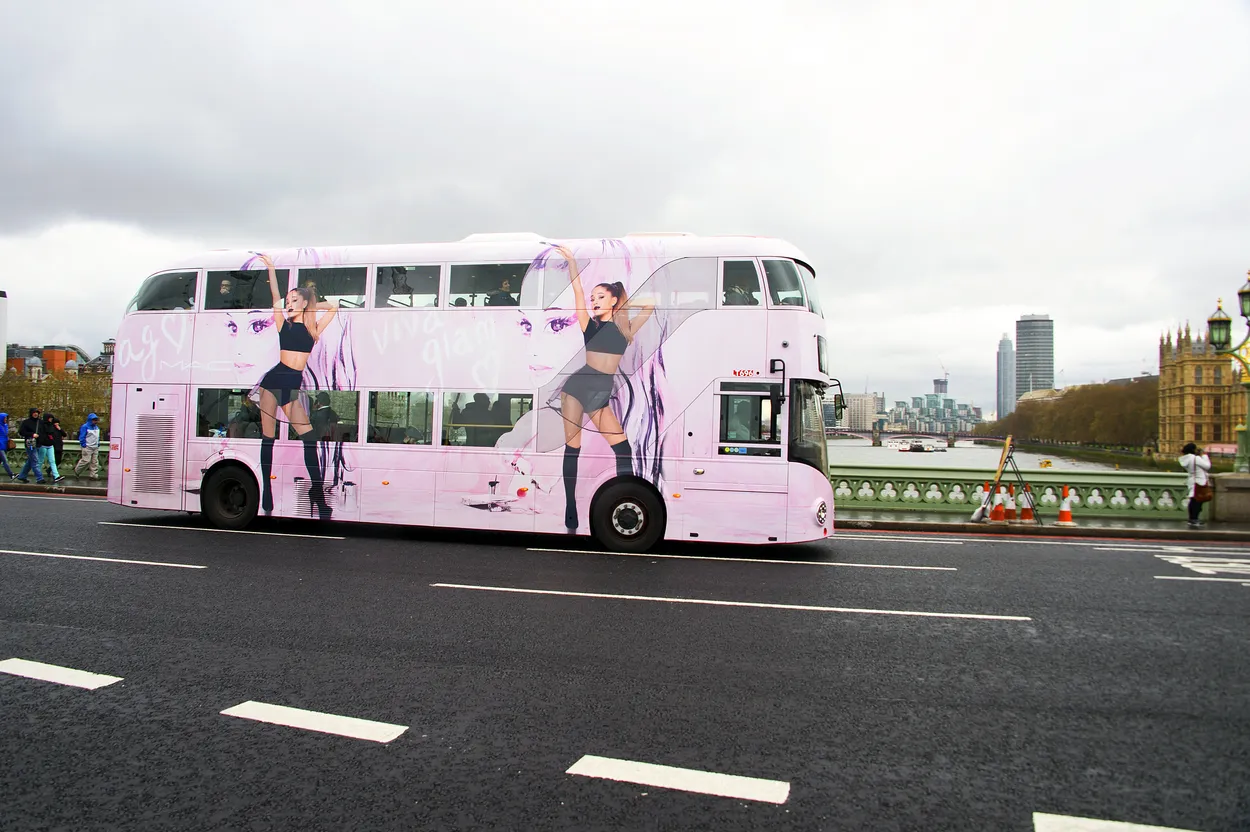 Entry 25521783