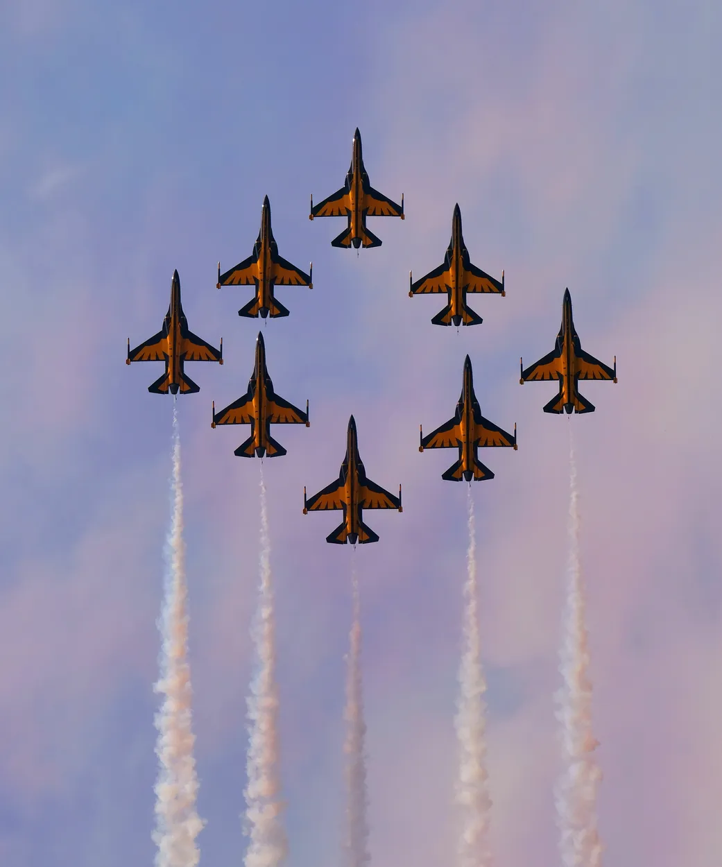 Entry 19584269