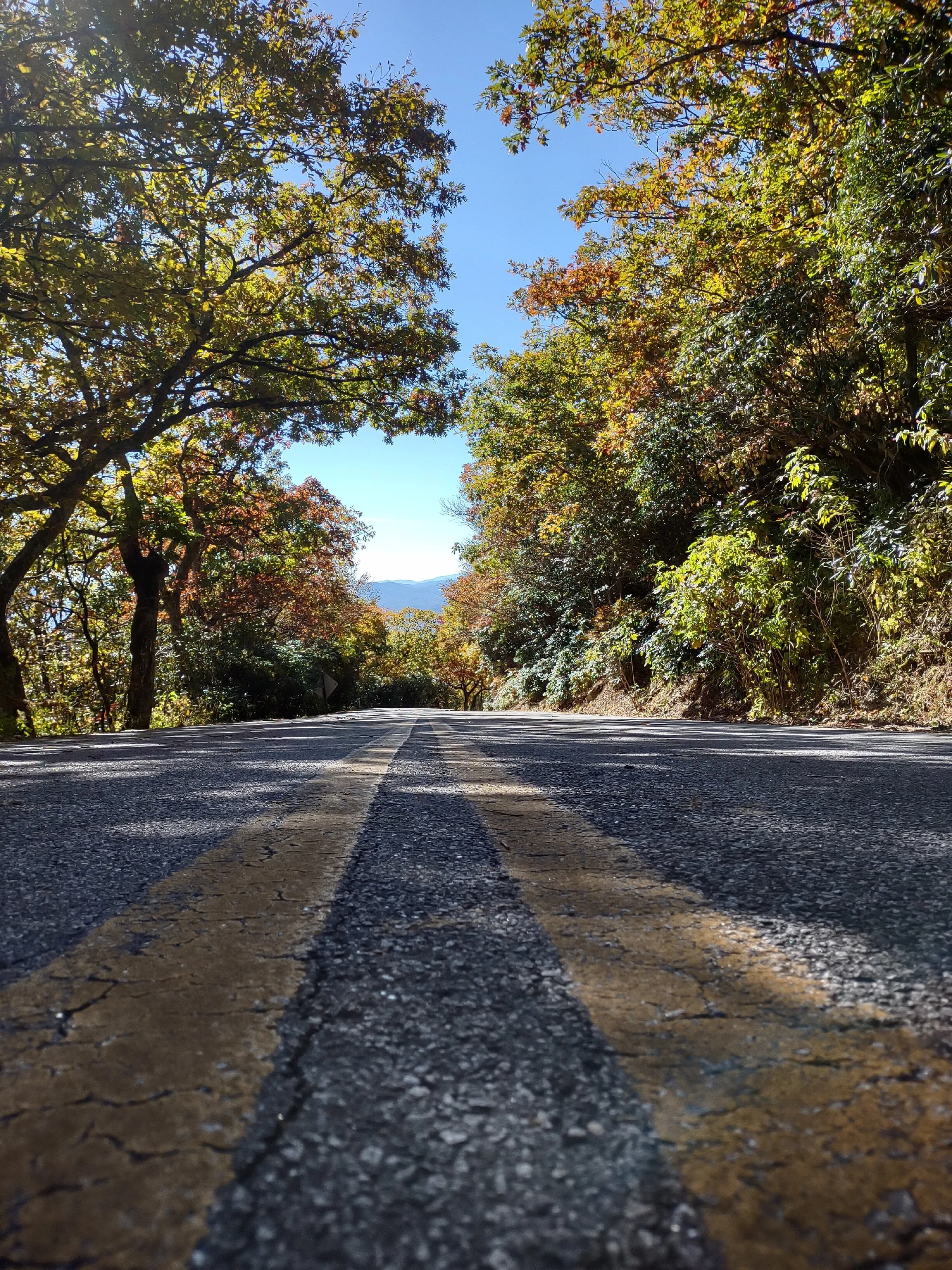 Road Ahead