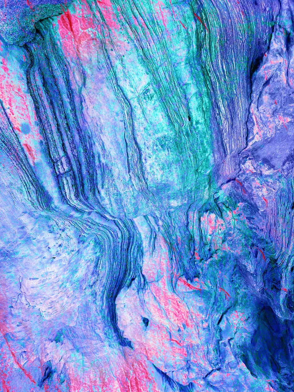 Entry 20138517