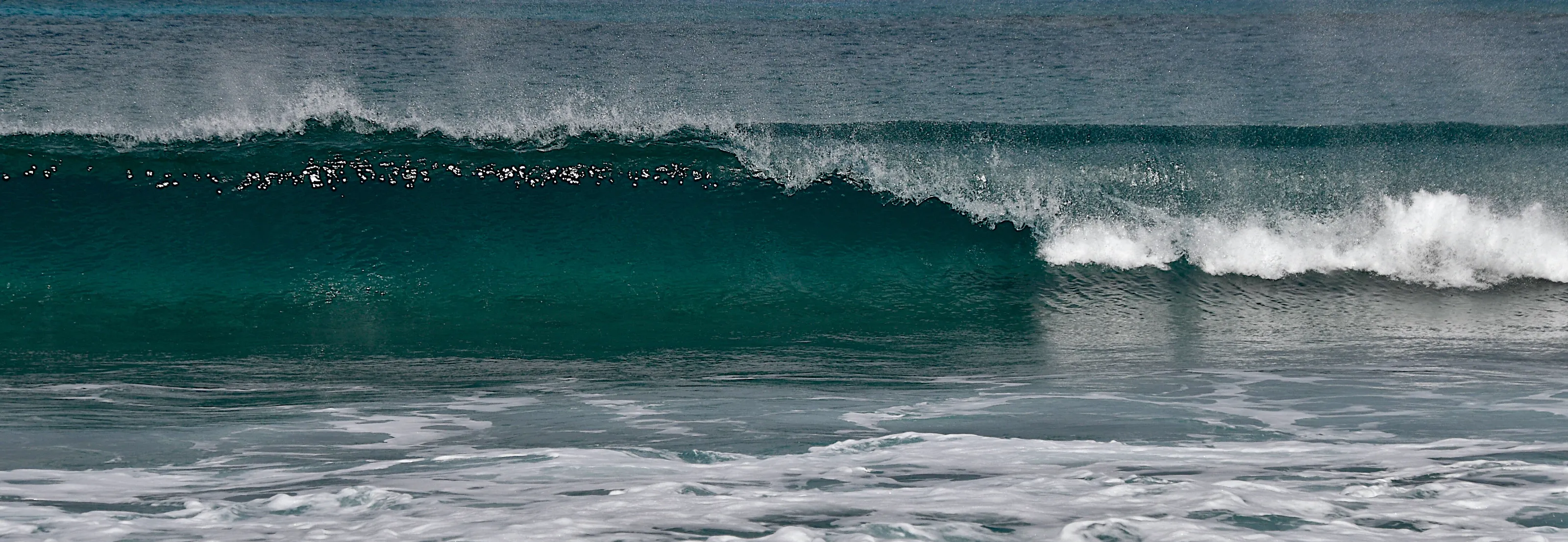 Wave
