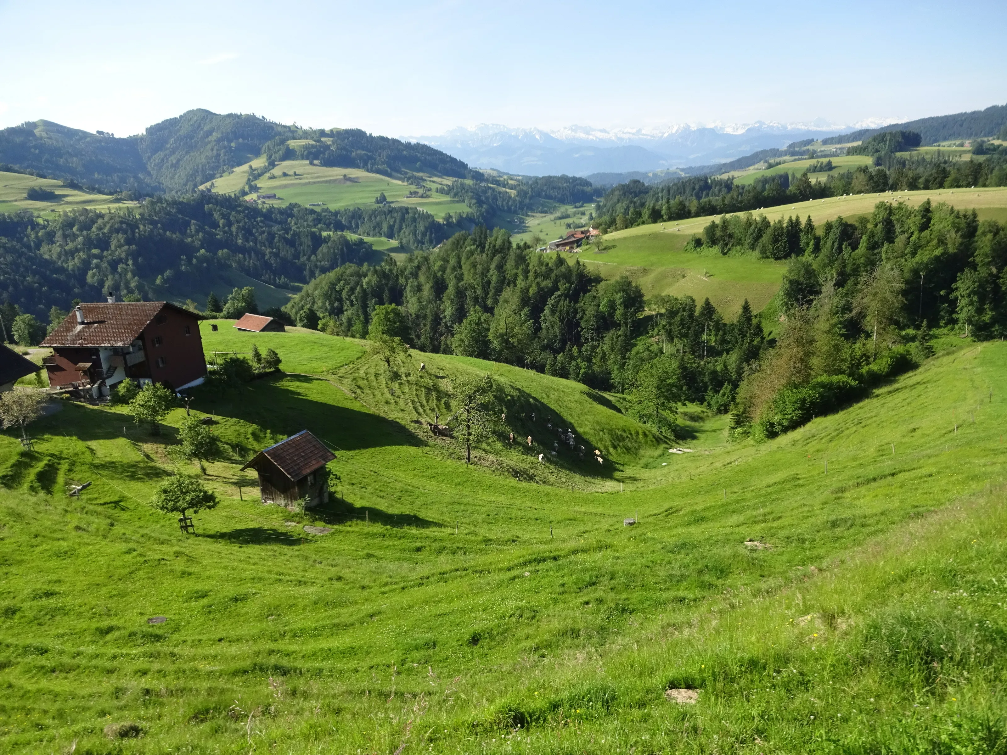 Zwitserland Reinsberg
