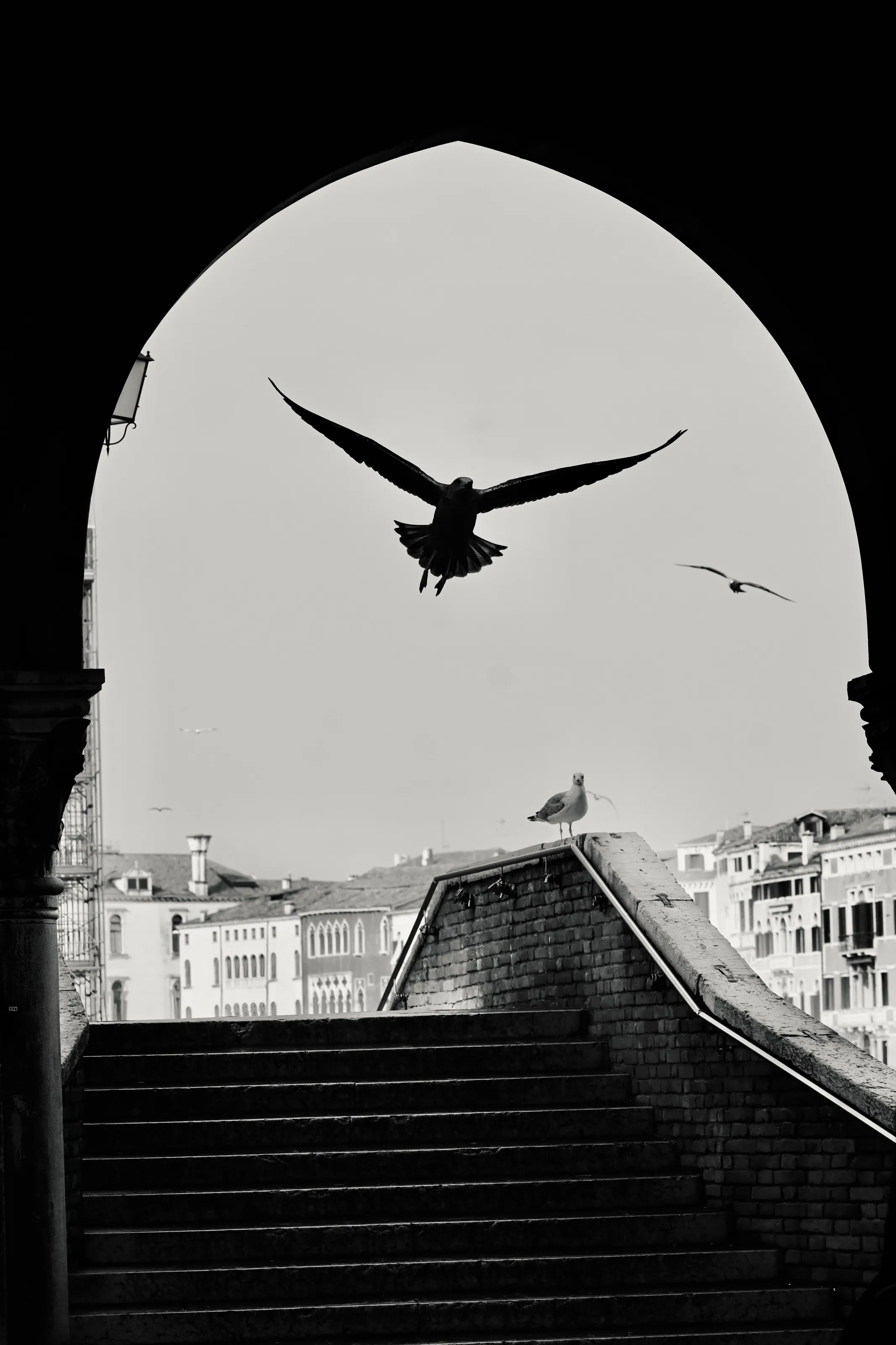 Flights of Steps