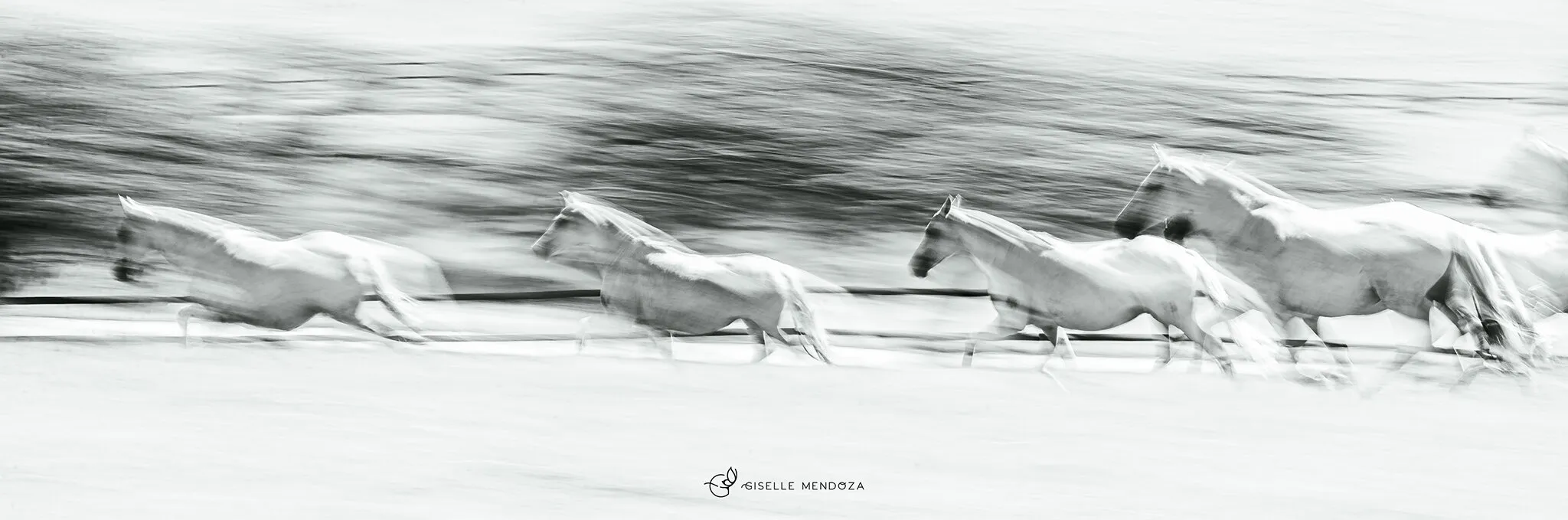 Cavalos em movimento