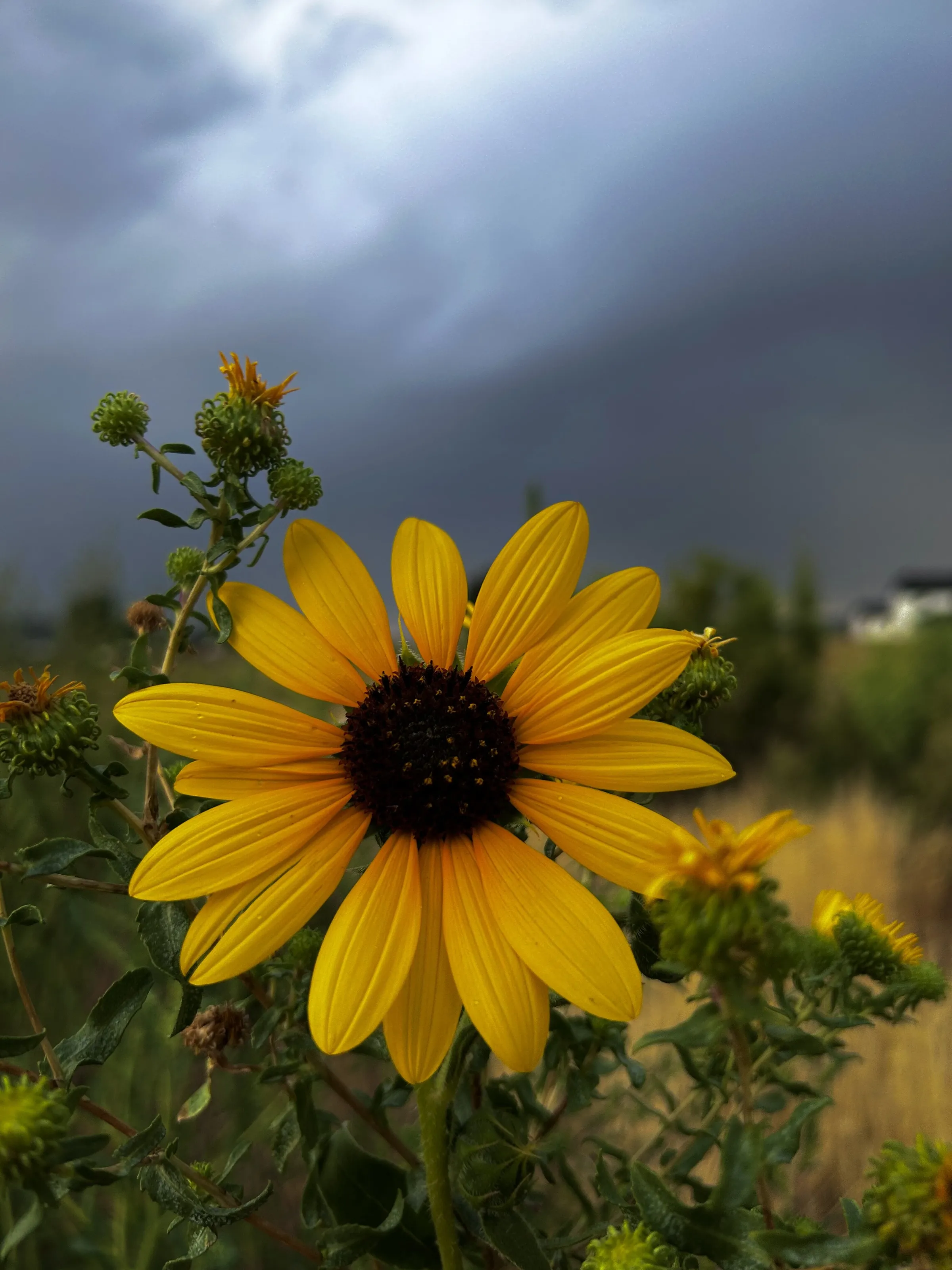 There’s no beauty without the storms
