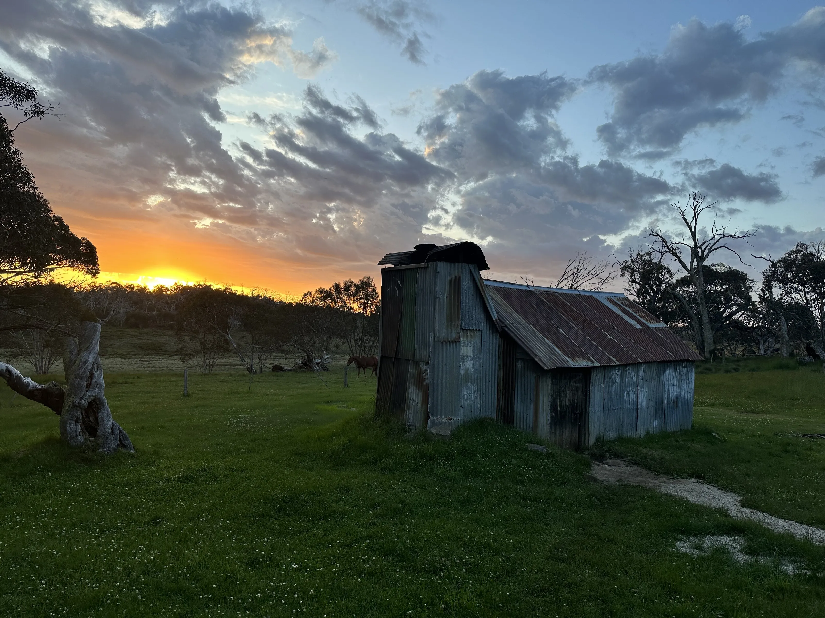 Sunset over Howitt Plains Hut
