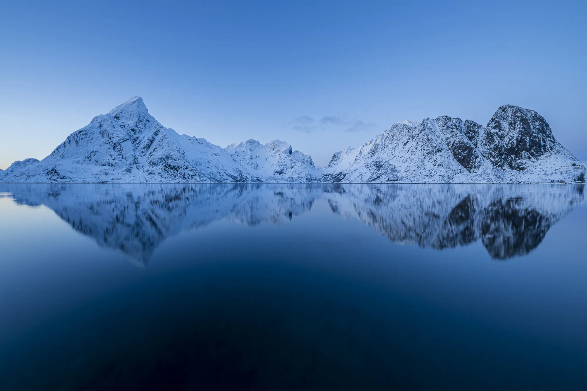 Blåbær