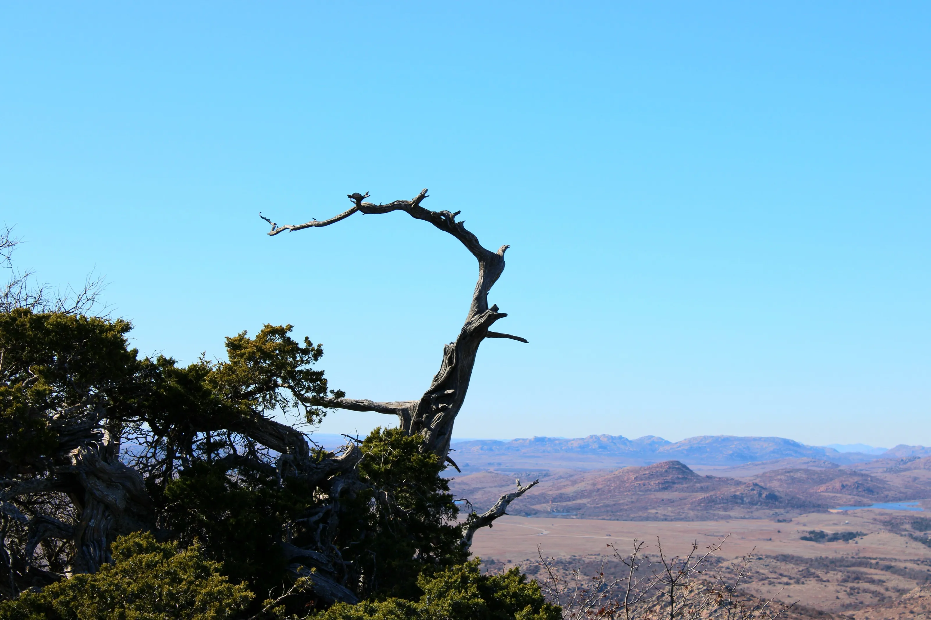 Mt. Scott