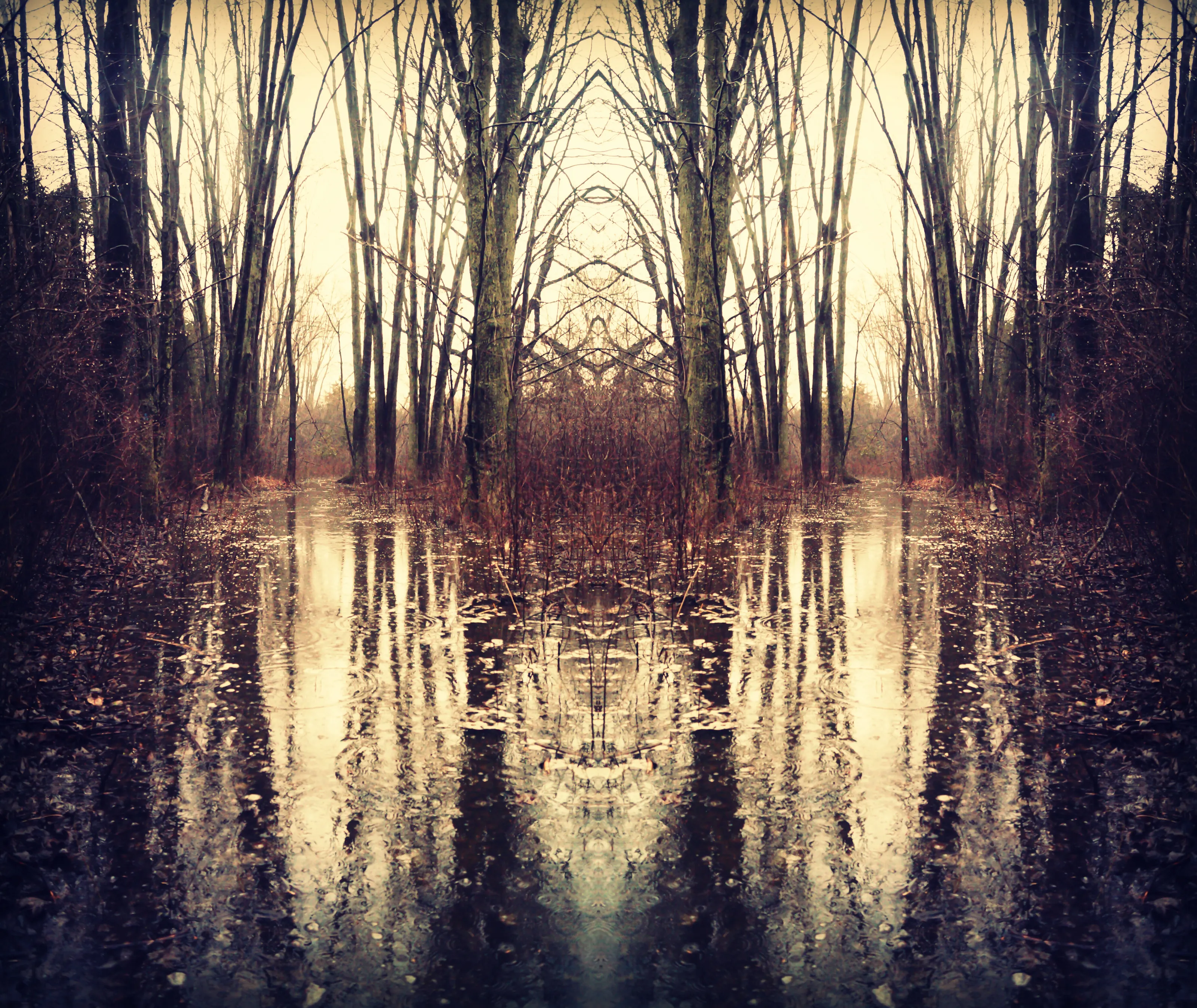 Water Reflections