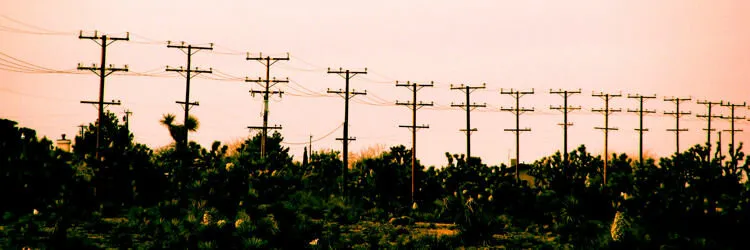 Desert Power