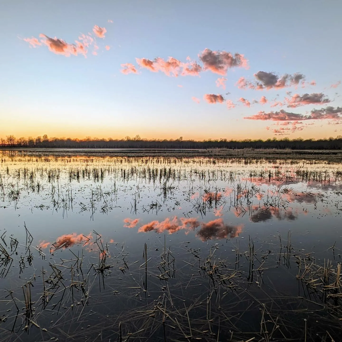 Mississippi Delta Sunset