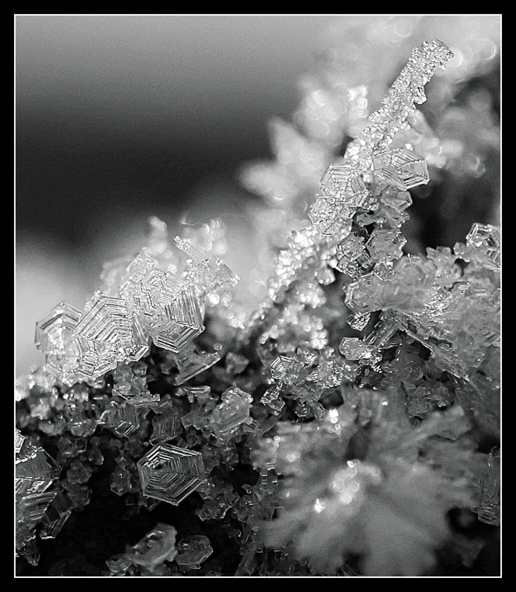 Entry 25948427