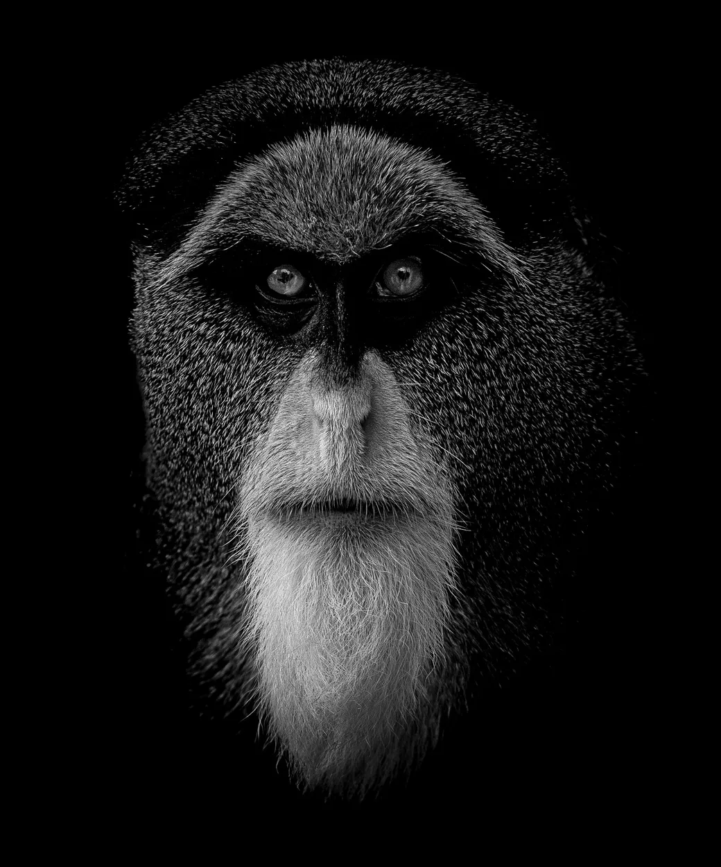 Entry 22140080