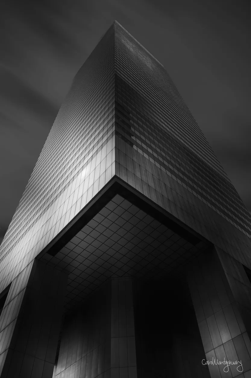 Entry 21308921