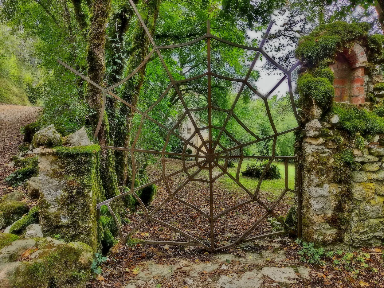 Entry 19706319