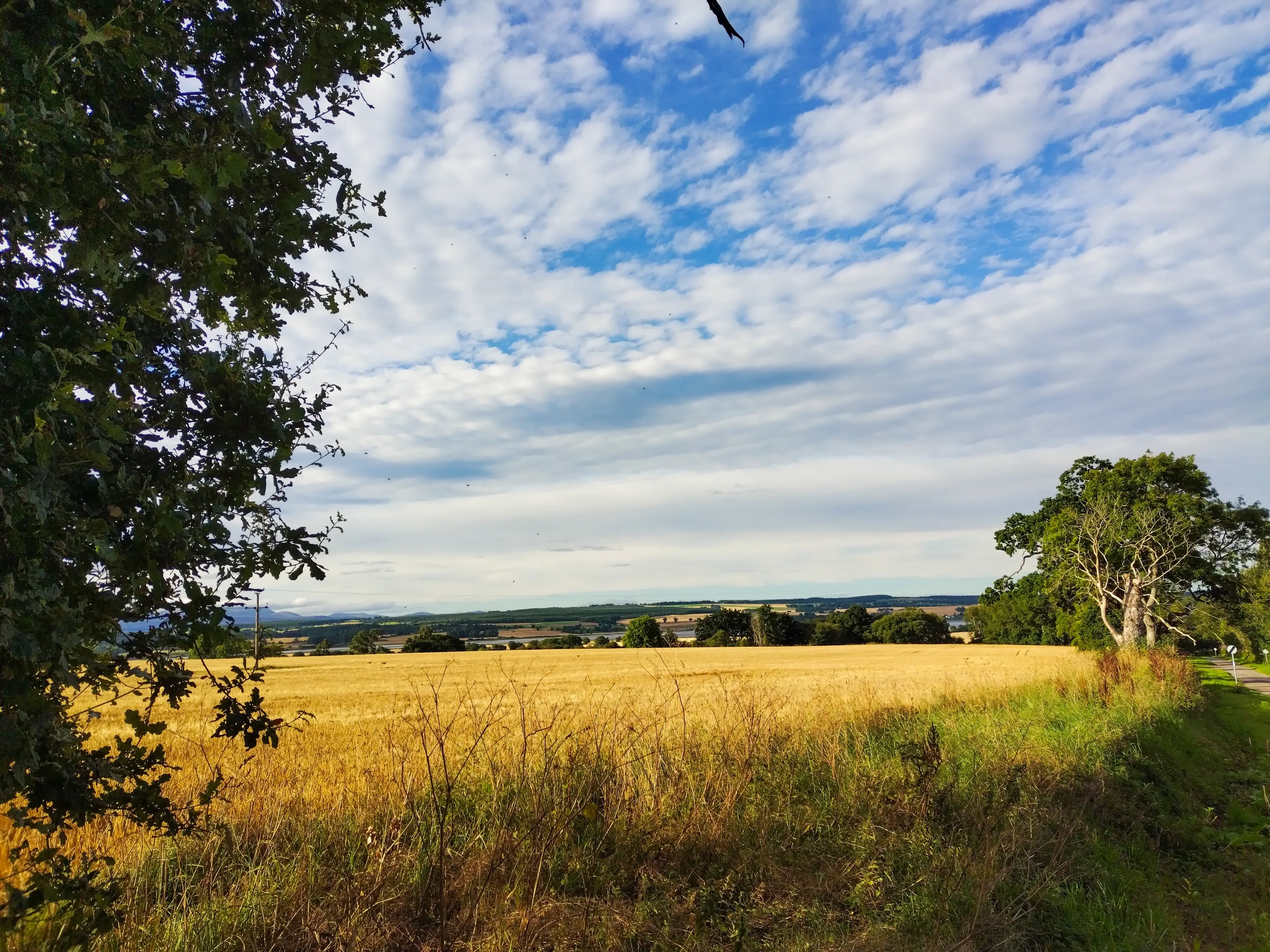Redcastle View