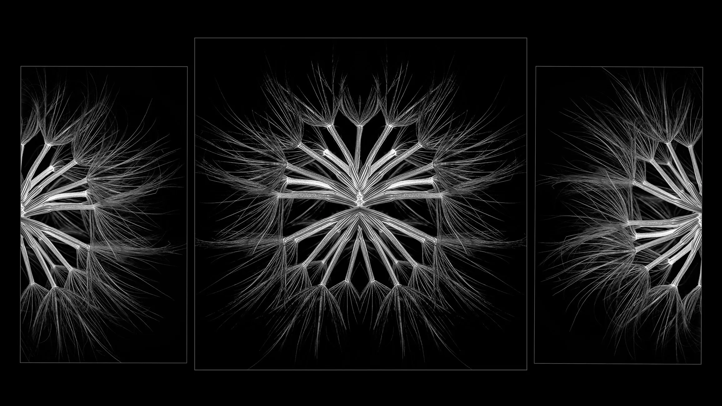 Dainty Triptych