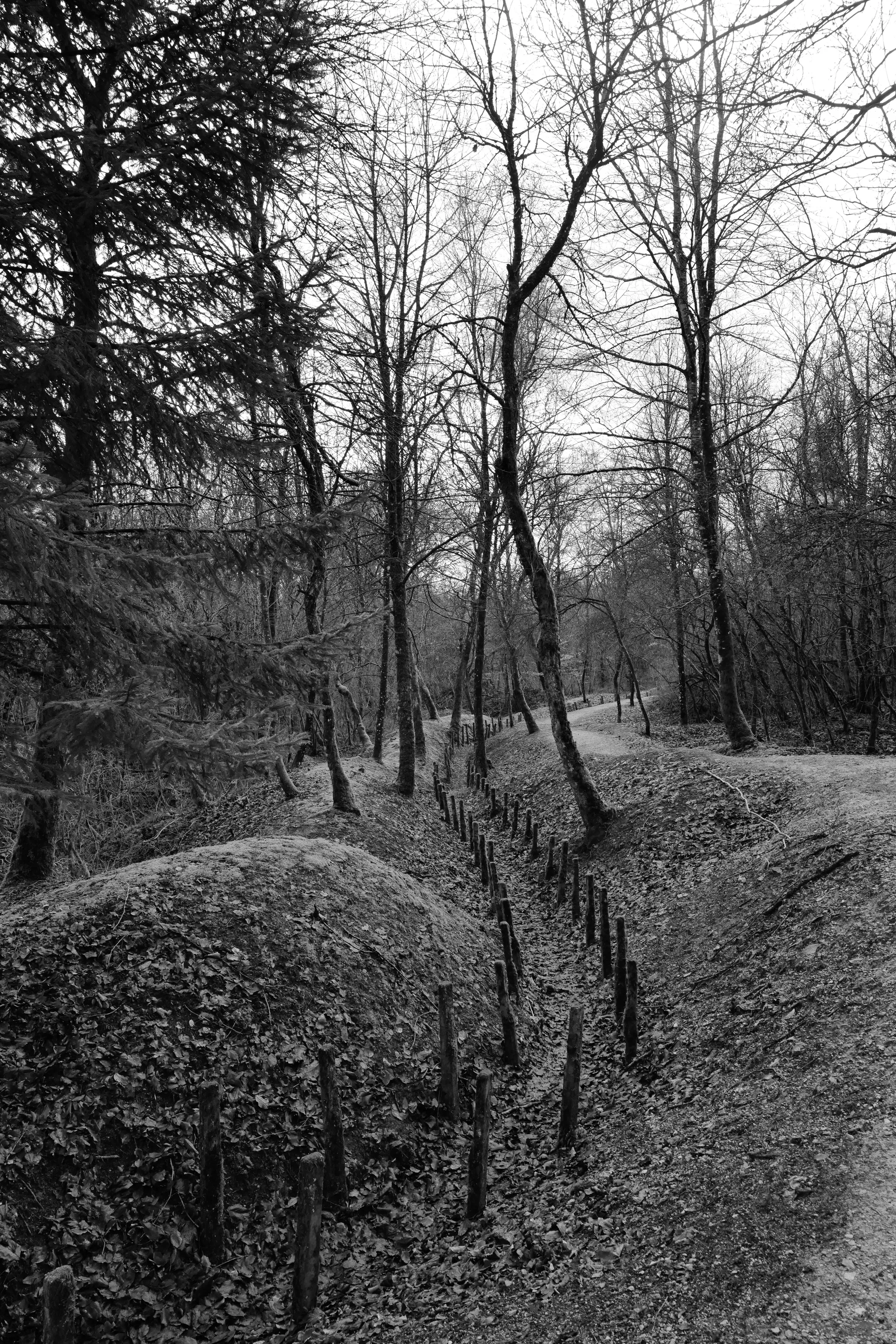 Remember Verdun - Douaumont