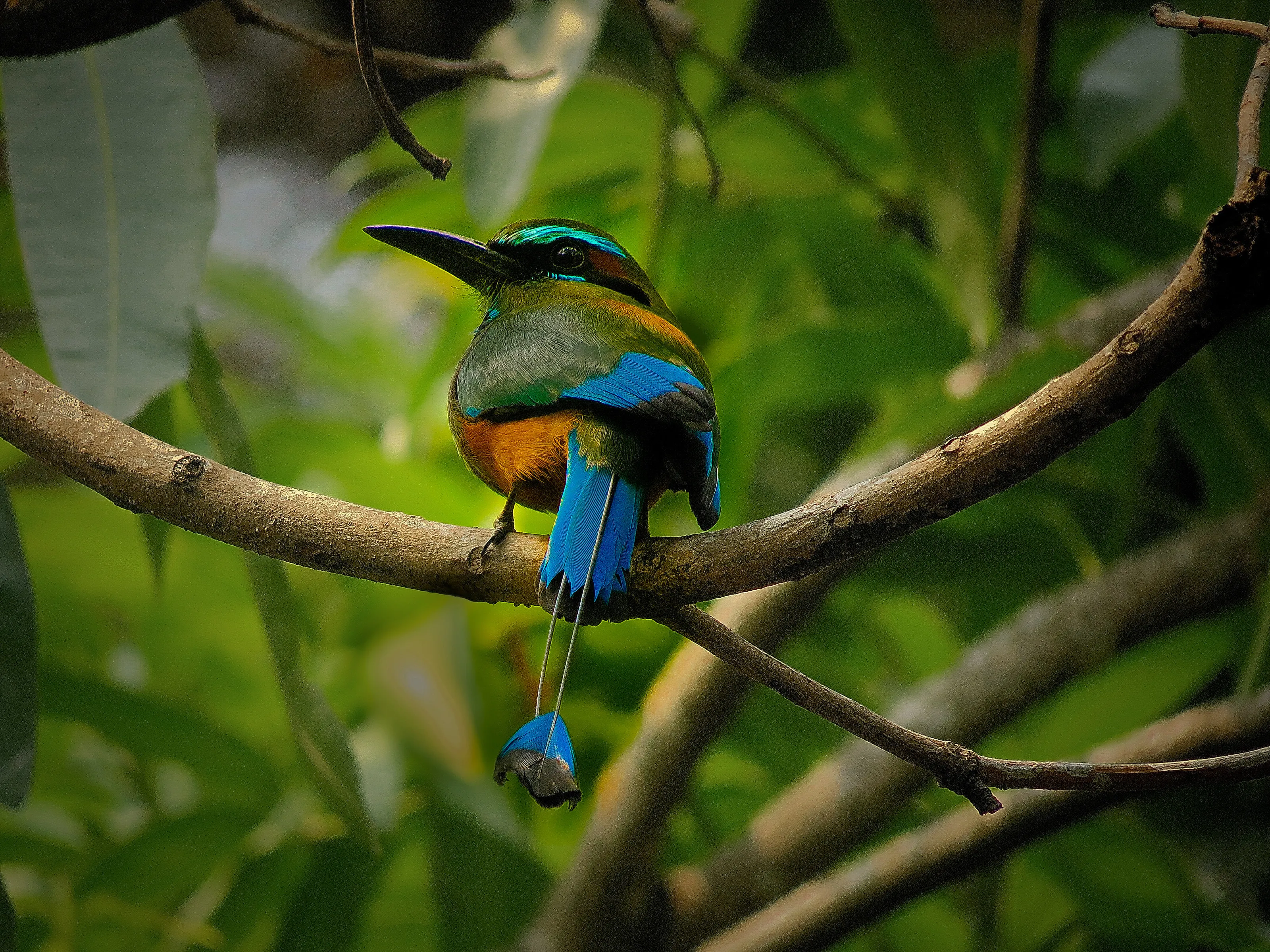 Colores del Hogar