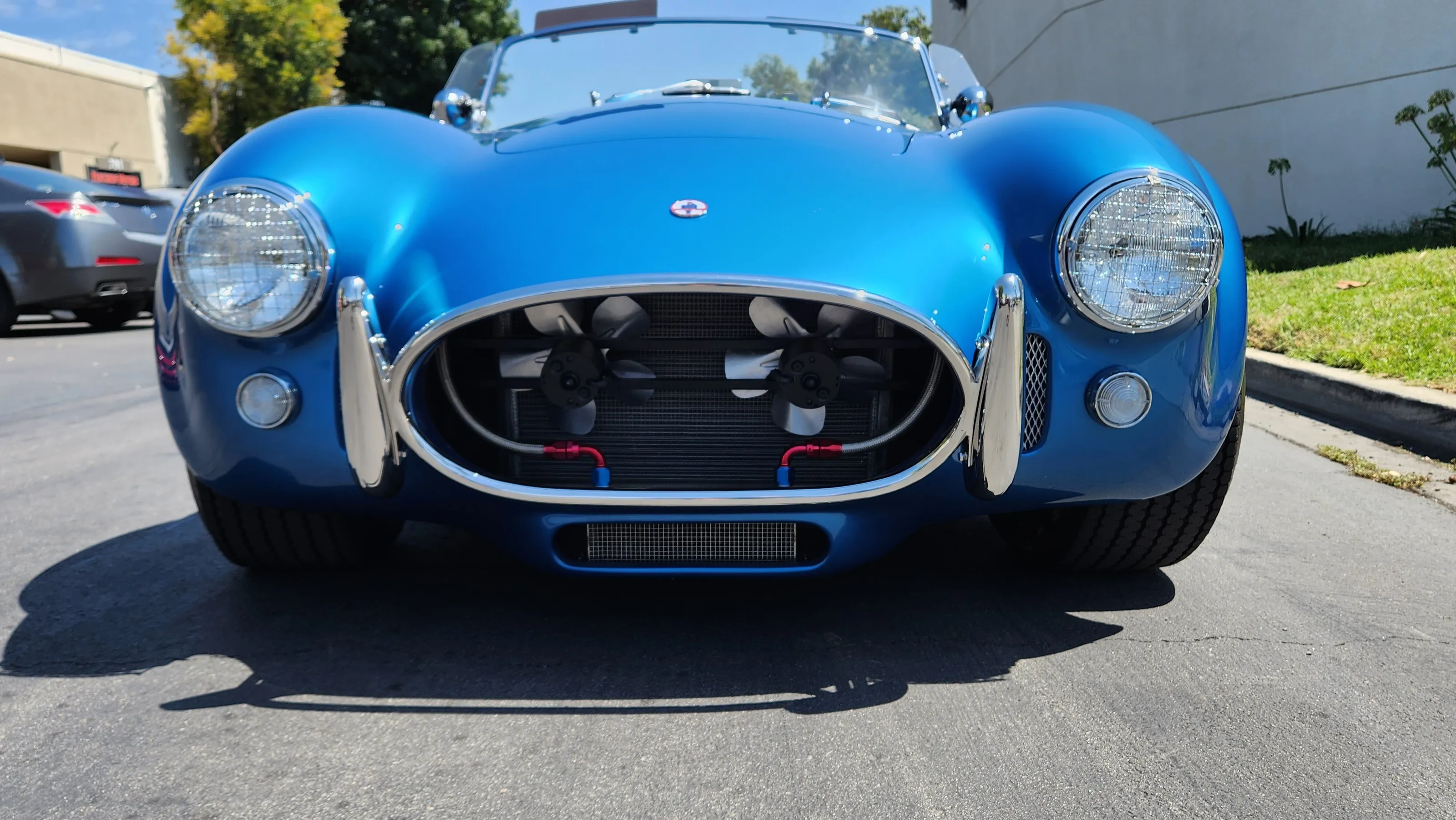 Shelby Cobra