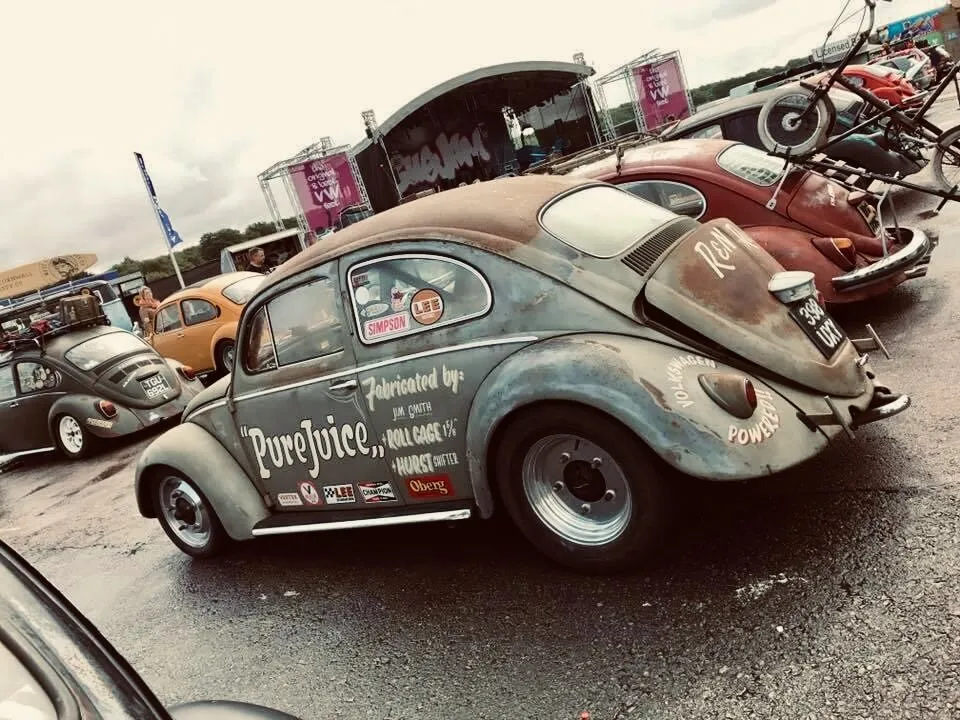 Entry 19768052