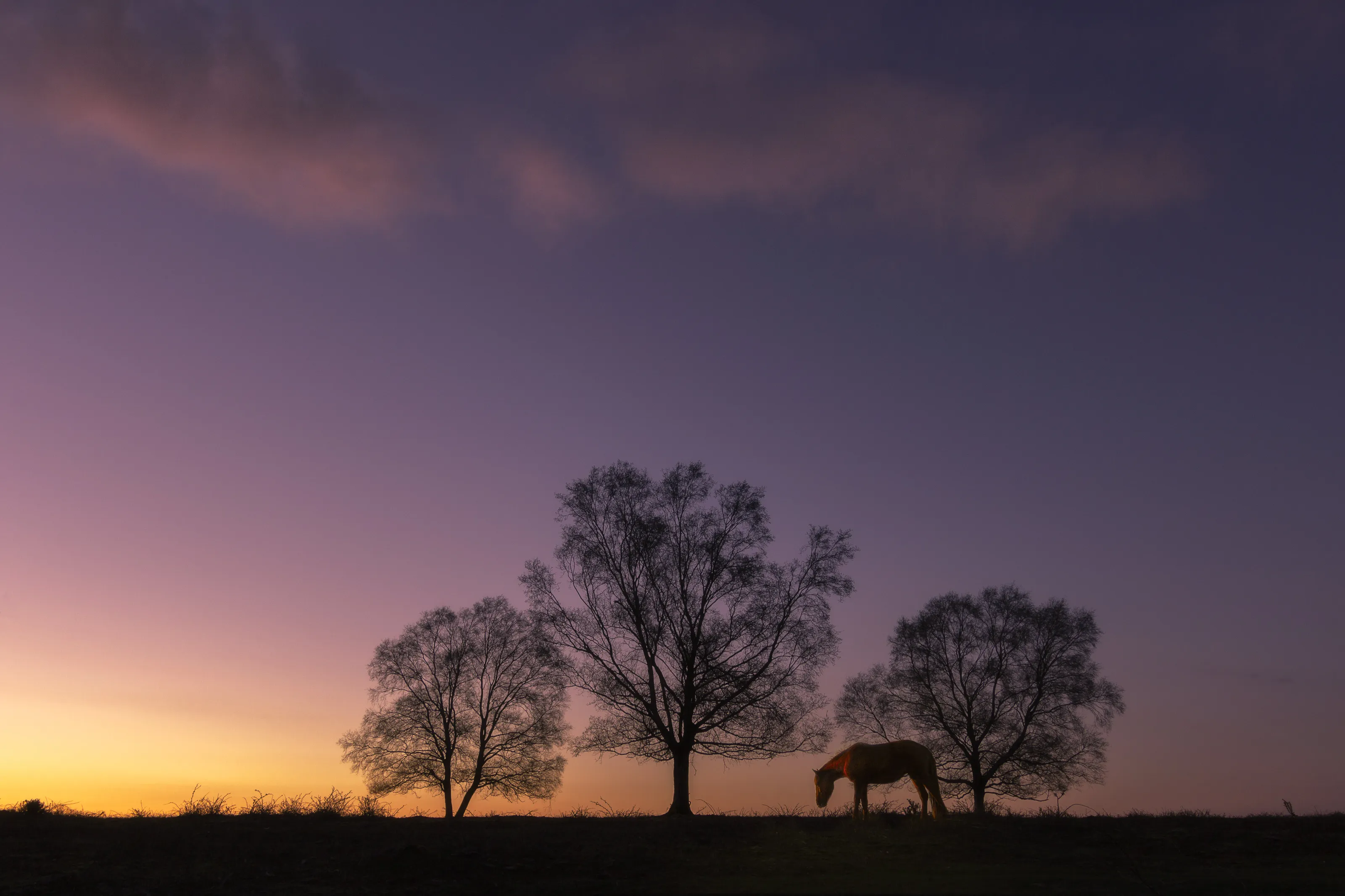 The Three Trees
